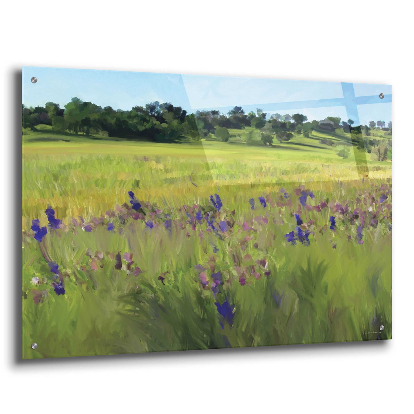 Epic Art 'Bidwell Park' by Kamdon Kreations, Acrylic Glass Wall Art,36x24