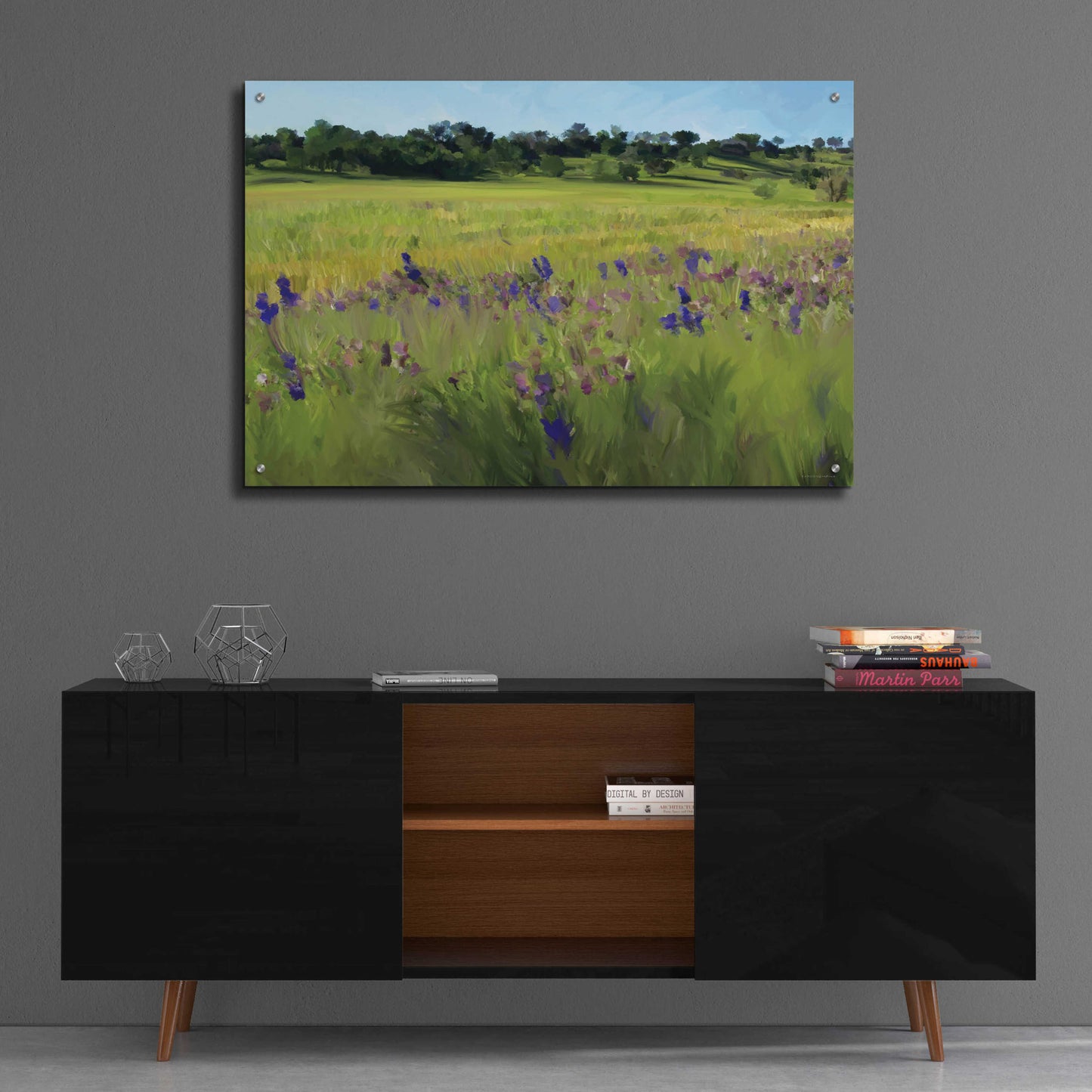 Epic Art 'Bidwell Park' by Kamdon Kreations, Acrylic Glass Wall Art,36x24