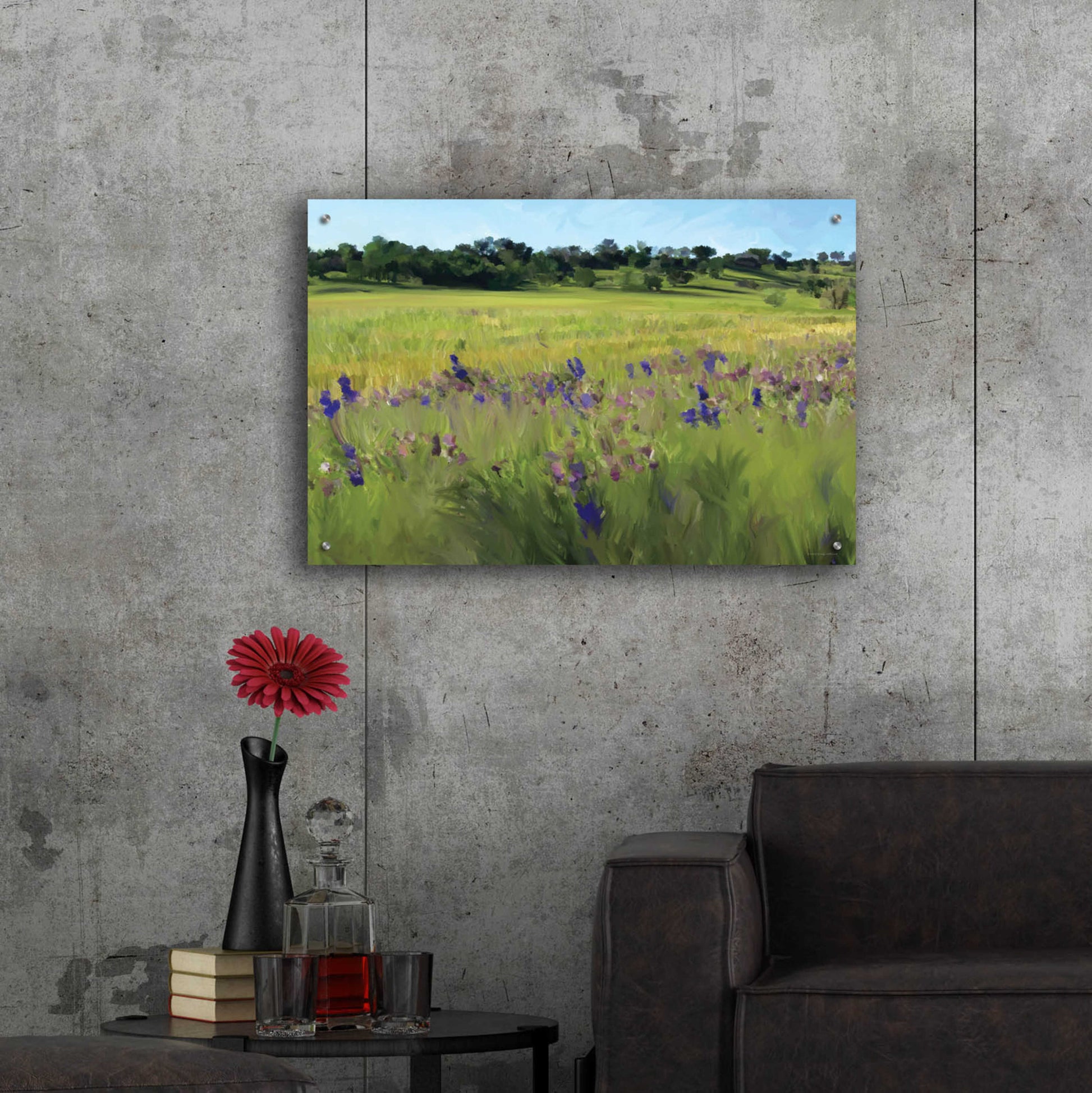 Epic Art 'Bidwell Park' by Kamdon Kreations, Acrylic Glass Wall Art,36x24