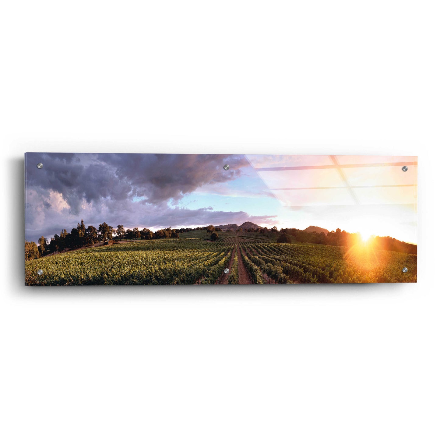 Epic Art 'Gout De Terroir' by Christopher Foster, Acrylic Glass Wall Art,36x12