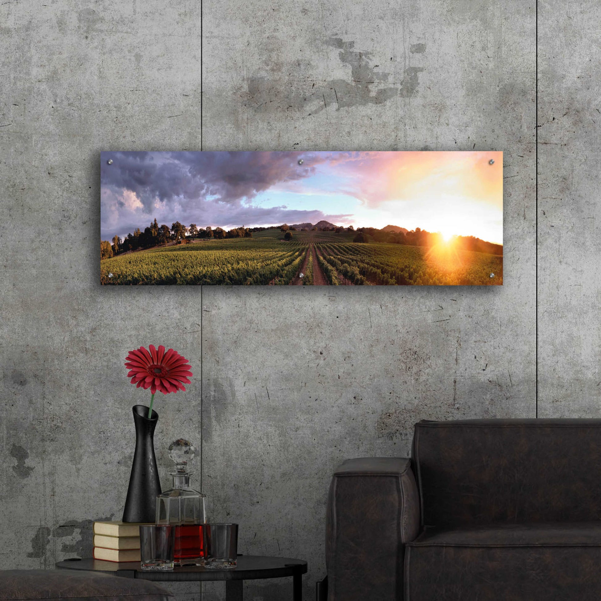 Epic Art 'Gout De Terroir' by Christopher Foster, Acrylic Glass Wall Art,48x16