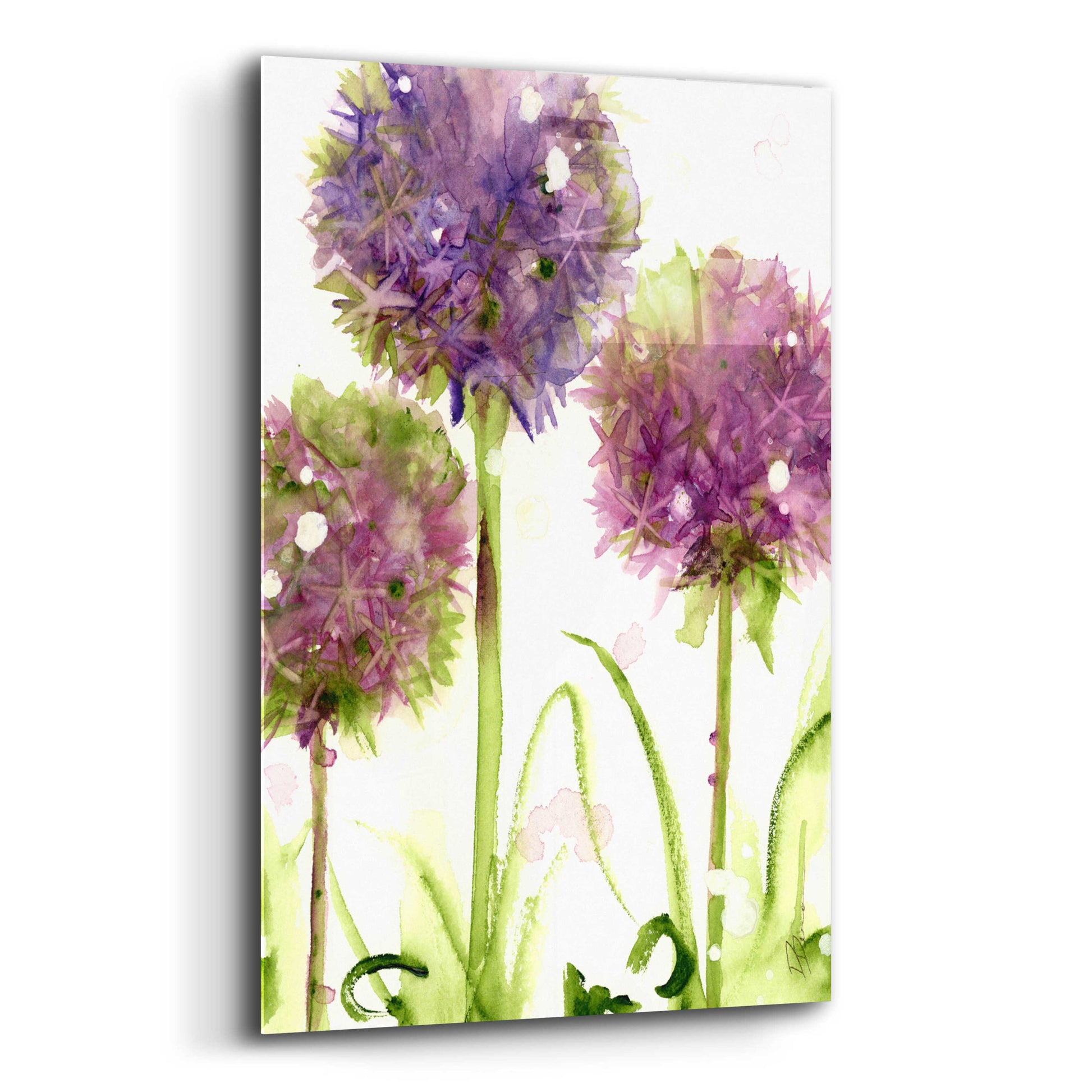 Epic Art 'Alliums' by Dawn Derman, Acrylic Glass Wall Art,12x16