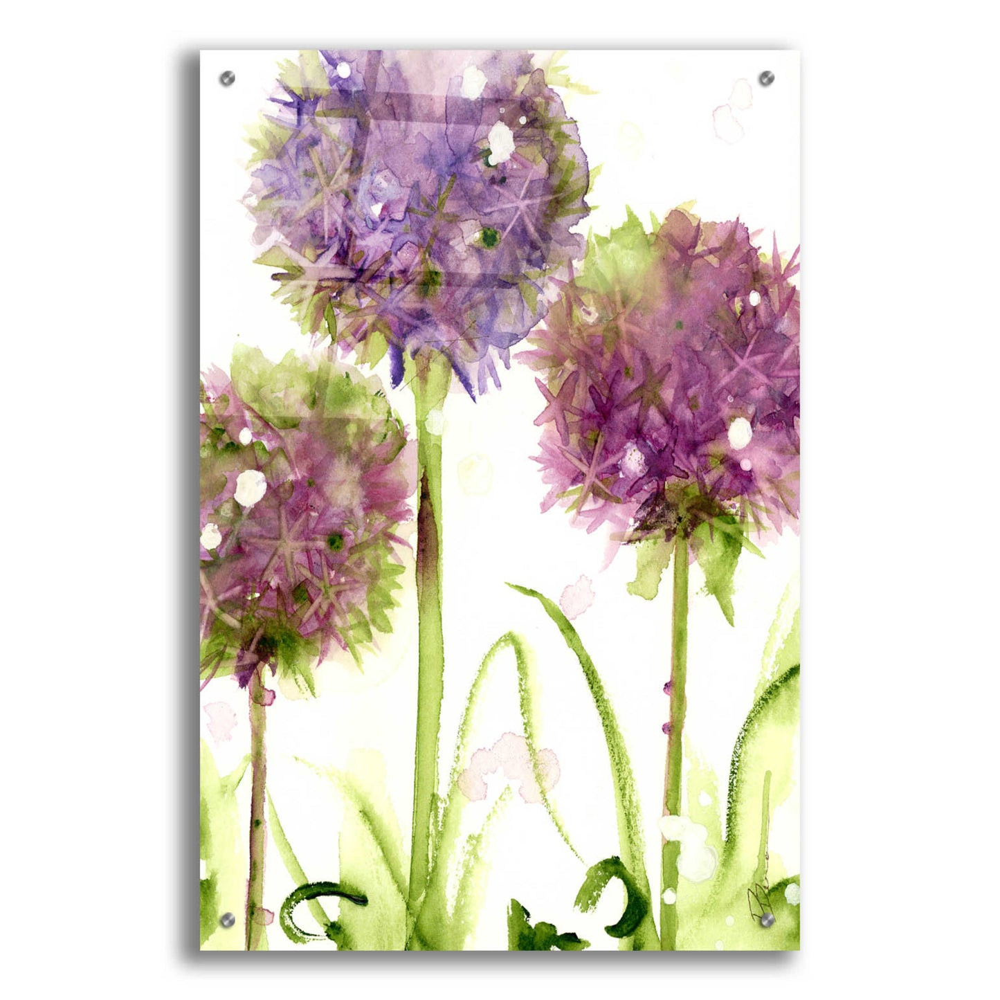 Epic Art 'Alliums' by Dawn Derman, Acrylic Glass Wall Art,24x36