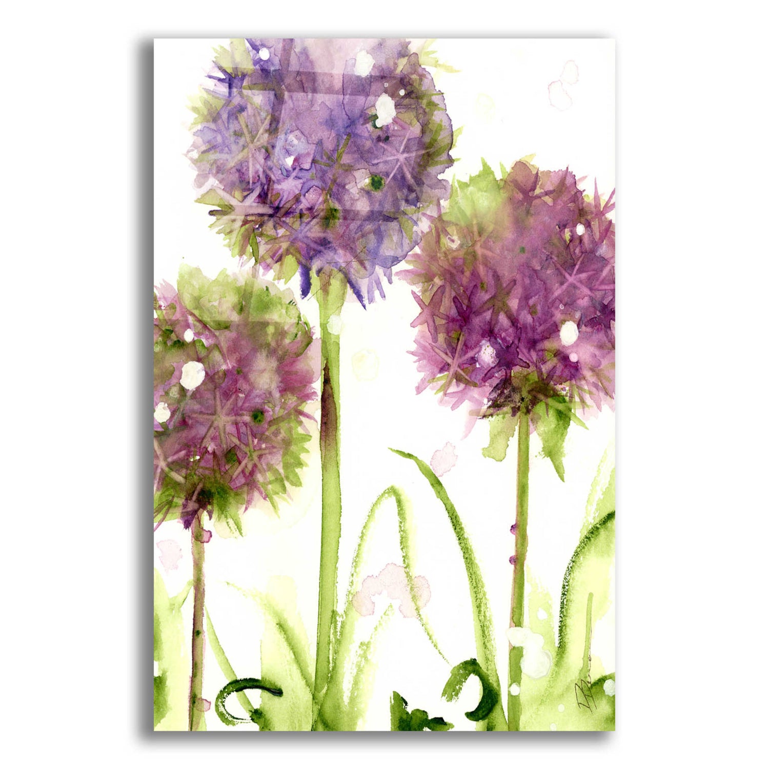 Epic Art 'Alliums' by Dawn Derman, Acrylic Glass Wall Art