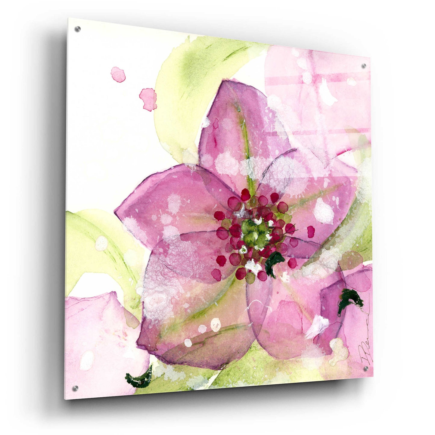 Epic Art 'Pink Flower in the Snow' by Dawn Derman, Acrylic Glass Wall Art,36x36