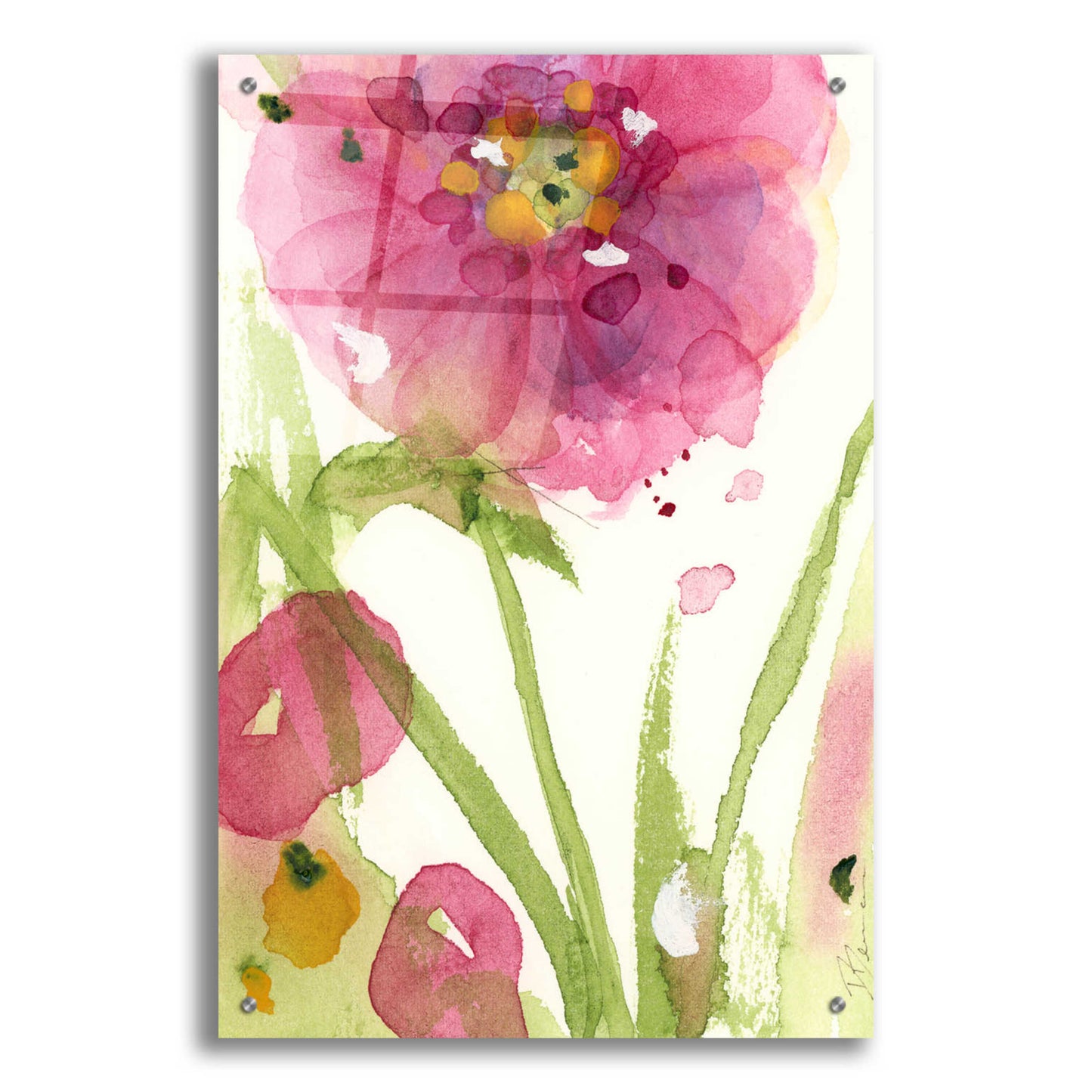 Epic Art 'Pink Wildflower' by Dawn Derman, Acrylic Glass Wall Art,24x36