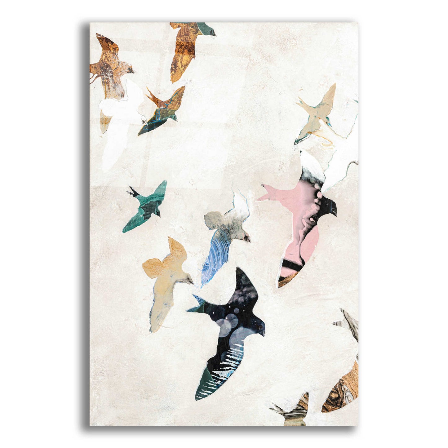 Epic Art 'Abstract Birds 2' by Design Fabrikken, Acrylic Glass Wall Art,12x16