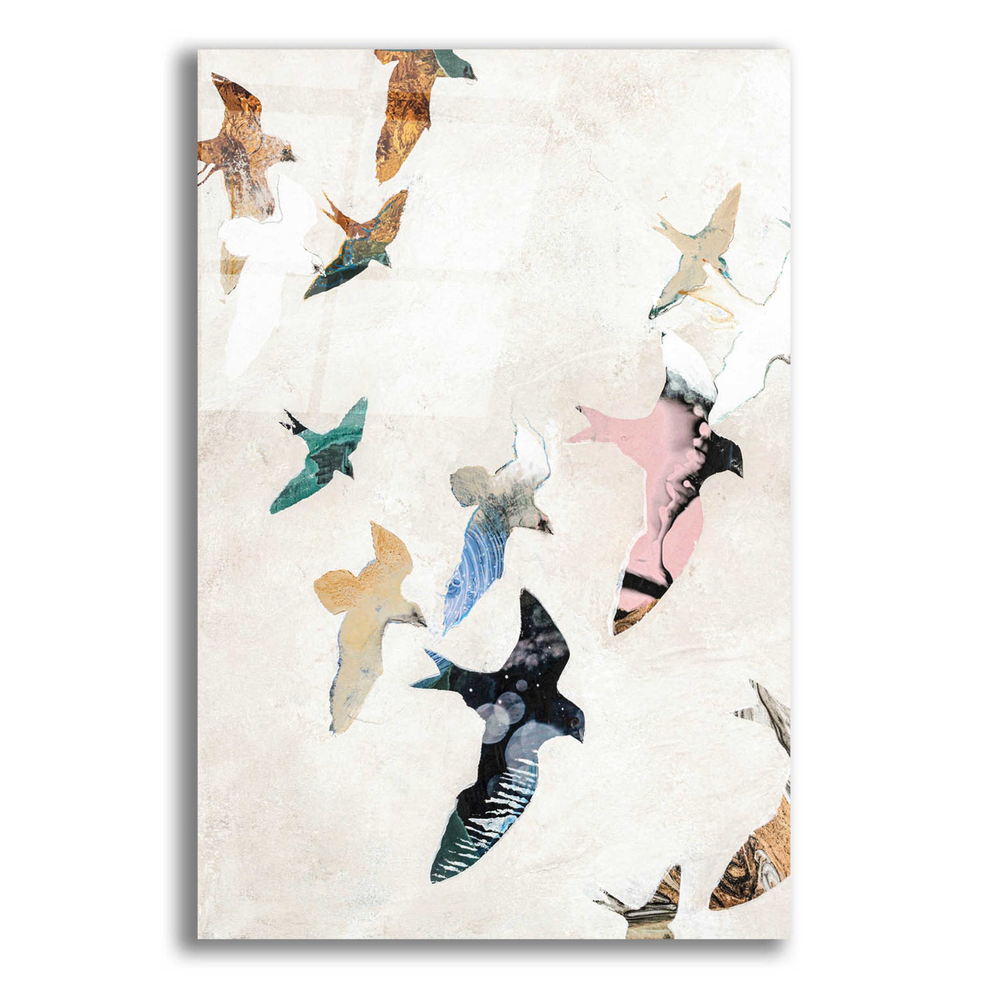 Epic Art 'Abstract Birds 2' by Design Fabrikken, Acrylic Glass Wall Art,16x24