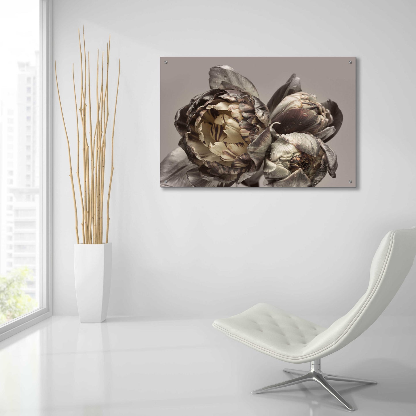 Epic Art 'Baroque 4' by Design Fabrikken, Acrylic Glass Wall Art,36x24