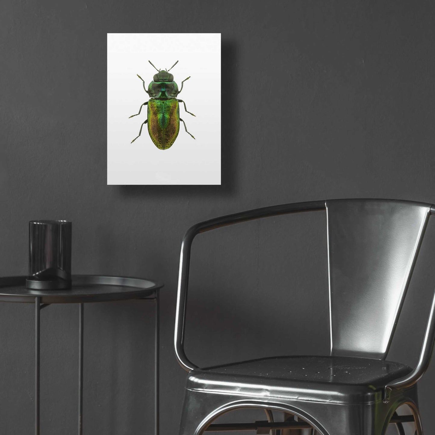 Epic Art 'Beetle 1' by Design Fabrikken, Acrylic Glass Wall Art,12x16