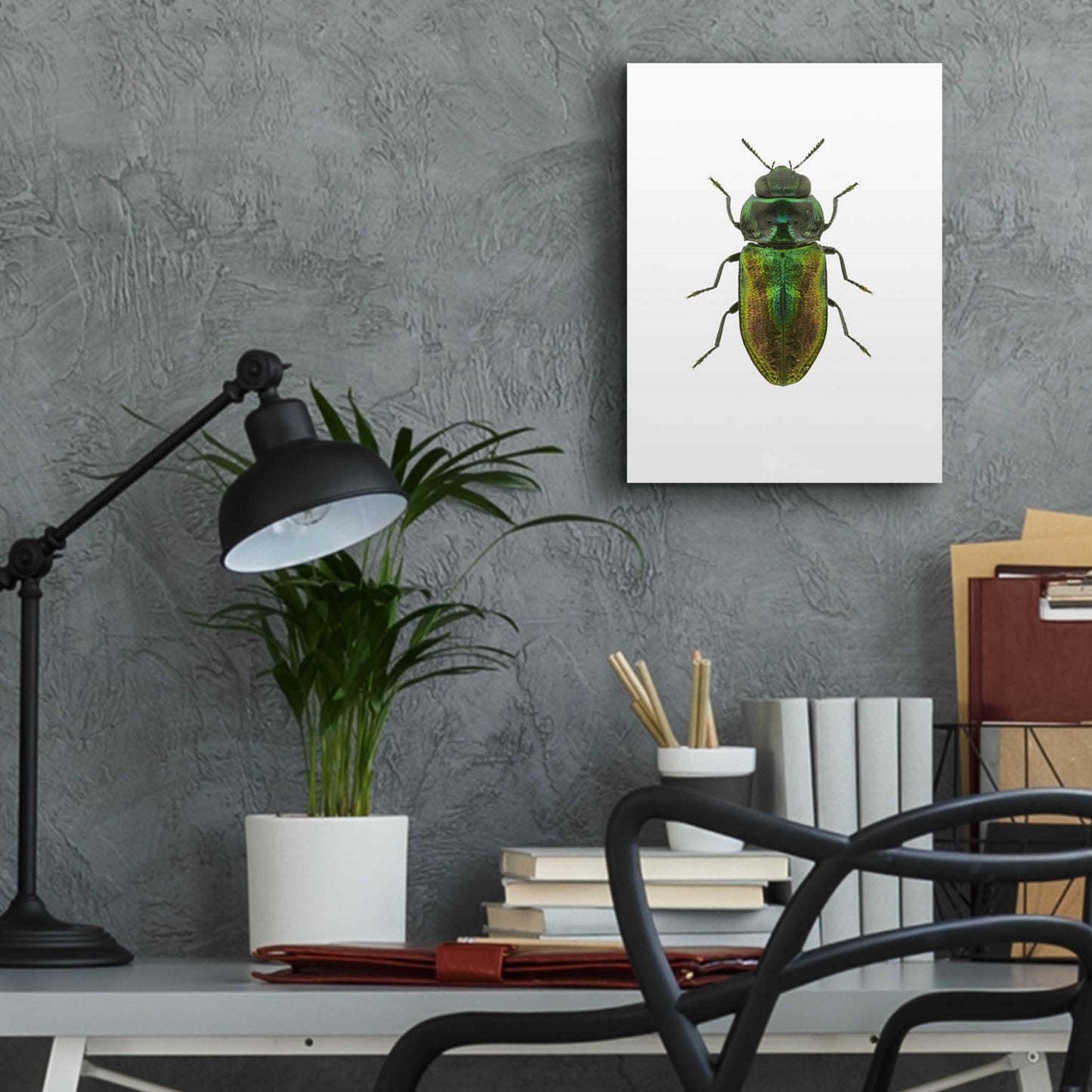 Epic Art 'Beetle 1' by Design Fabrikken, Acrylic Glass Wall Art,12x16