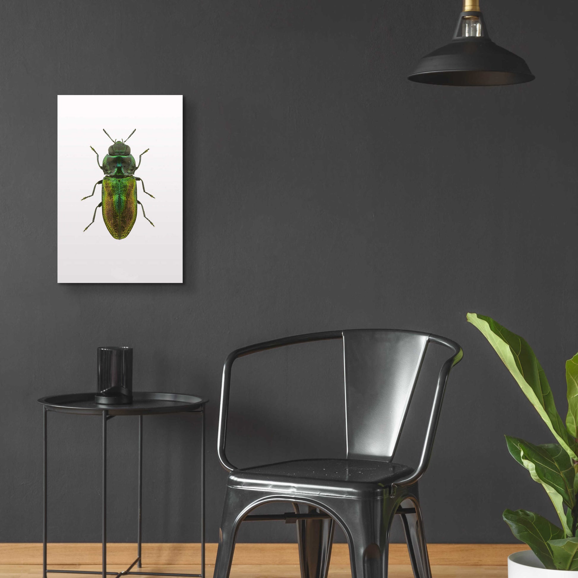 Epic Art 'Beetle 1' by Design Fabrikken, Acrylic Glass Wall Art,16x24