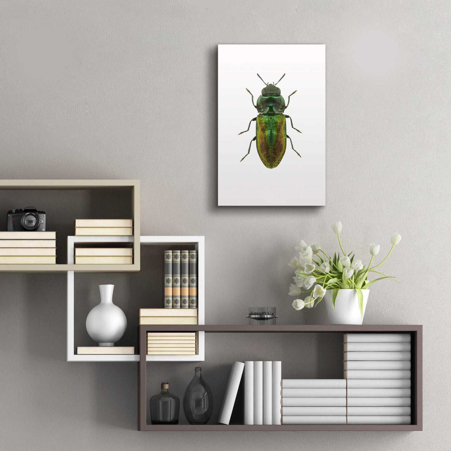 Epic Art 'Beetle 1' by Design Fabrikken, Acrylic Glass Wall Art,16x24