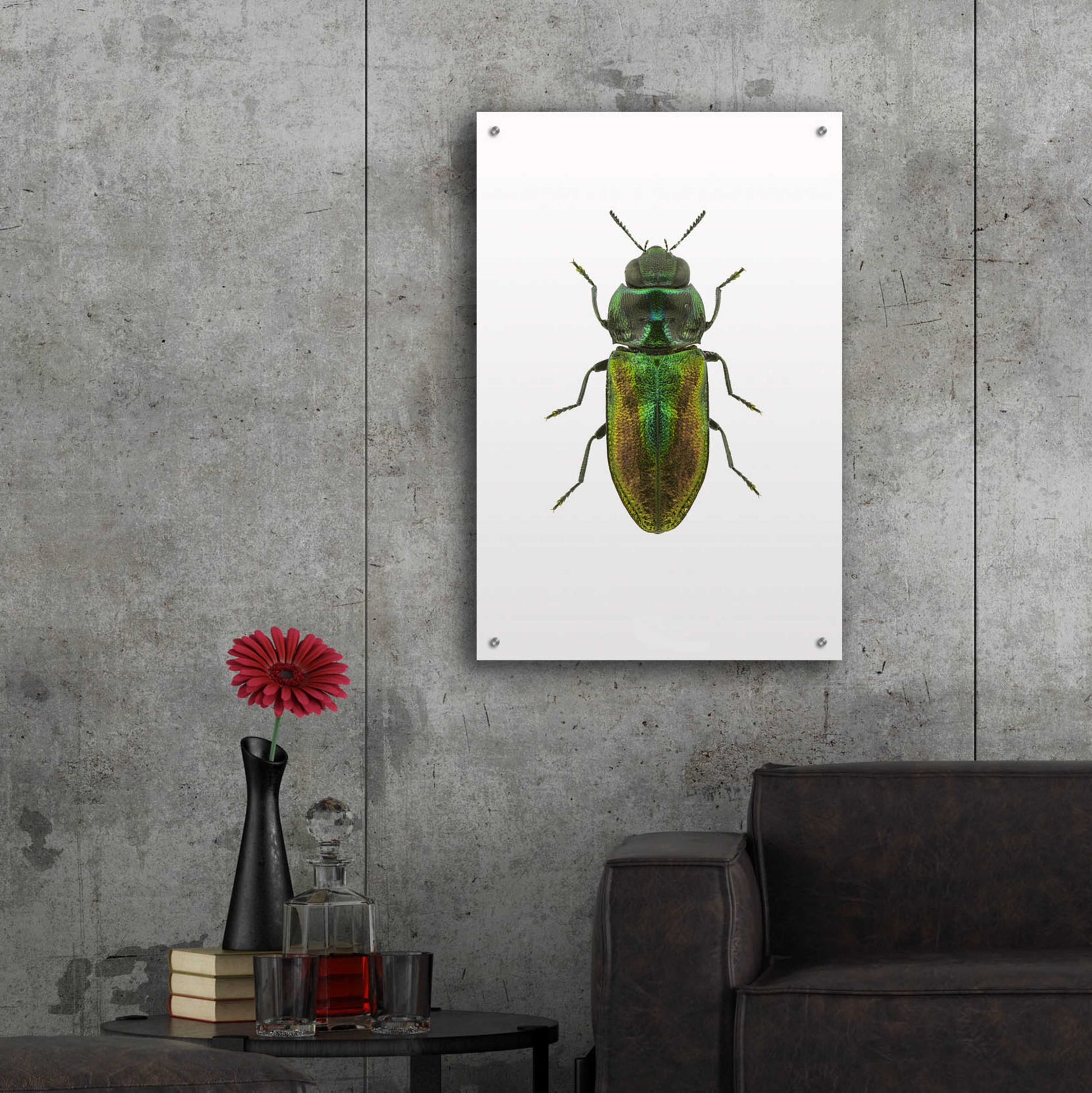 Epic Art 'Beetle 1' by Design Fabrikken, Acrylic Glass Wall Art,24x36