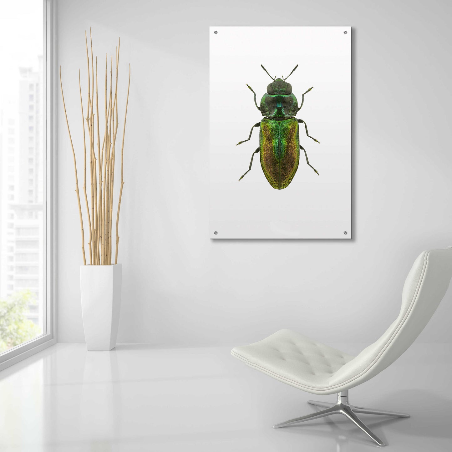 Epic Art 'Beetle 1' by Design Fabrikken, Acrylic Glass Wall Art,24x36