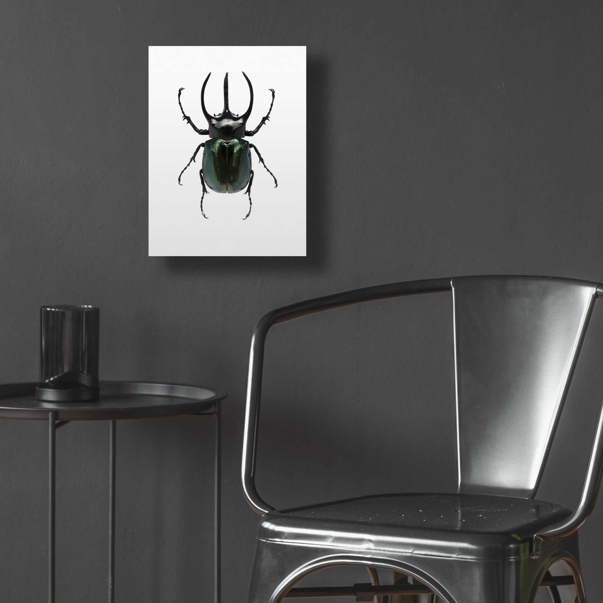 Epic Art 'Beetle 2' by Design Fabrikken, Acrylic Glass Wall Art,12x16