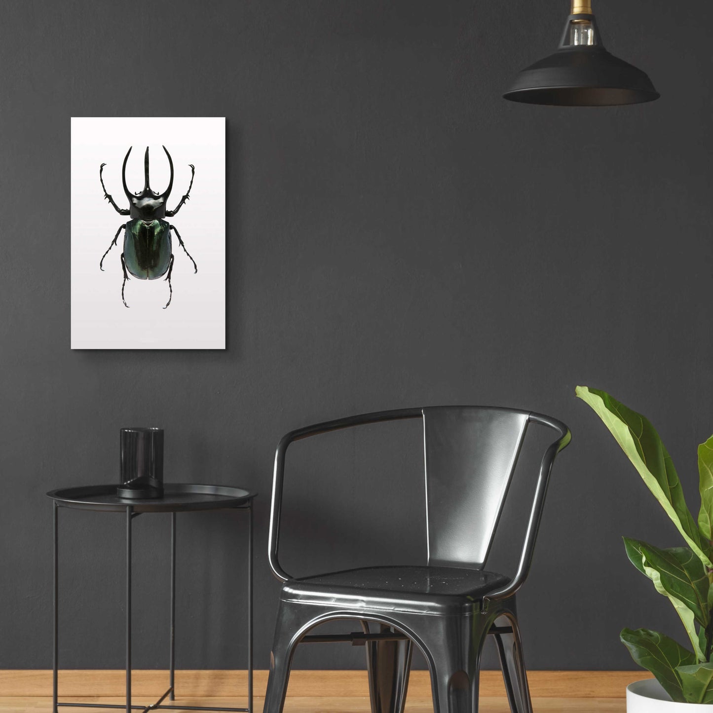 Epic Art 'Beetle 2' by Design Fabrikken, Acrylic Glass Wall Art,16x24