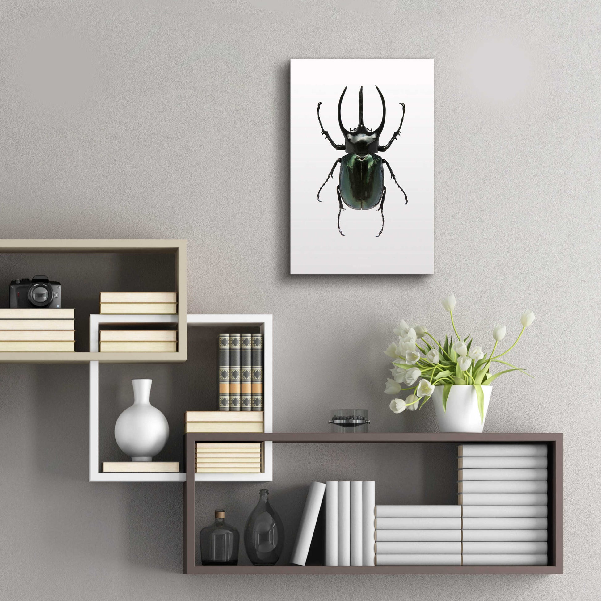 Epic Art 'Beetle 2' by Design Fabrikken, Acrylic Glass Wall Art,16x24