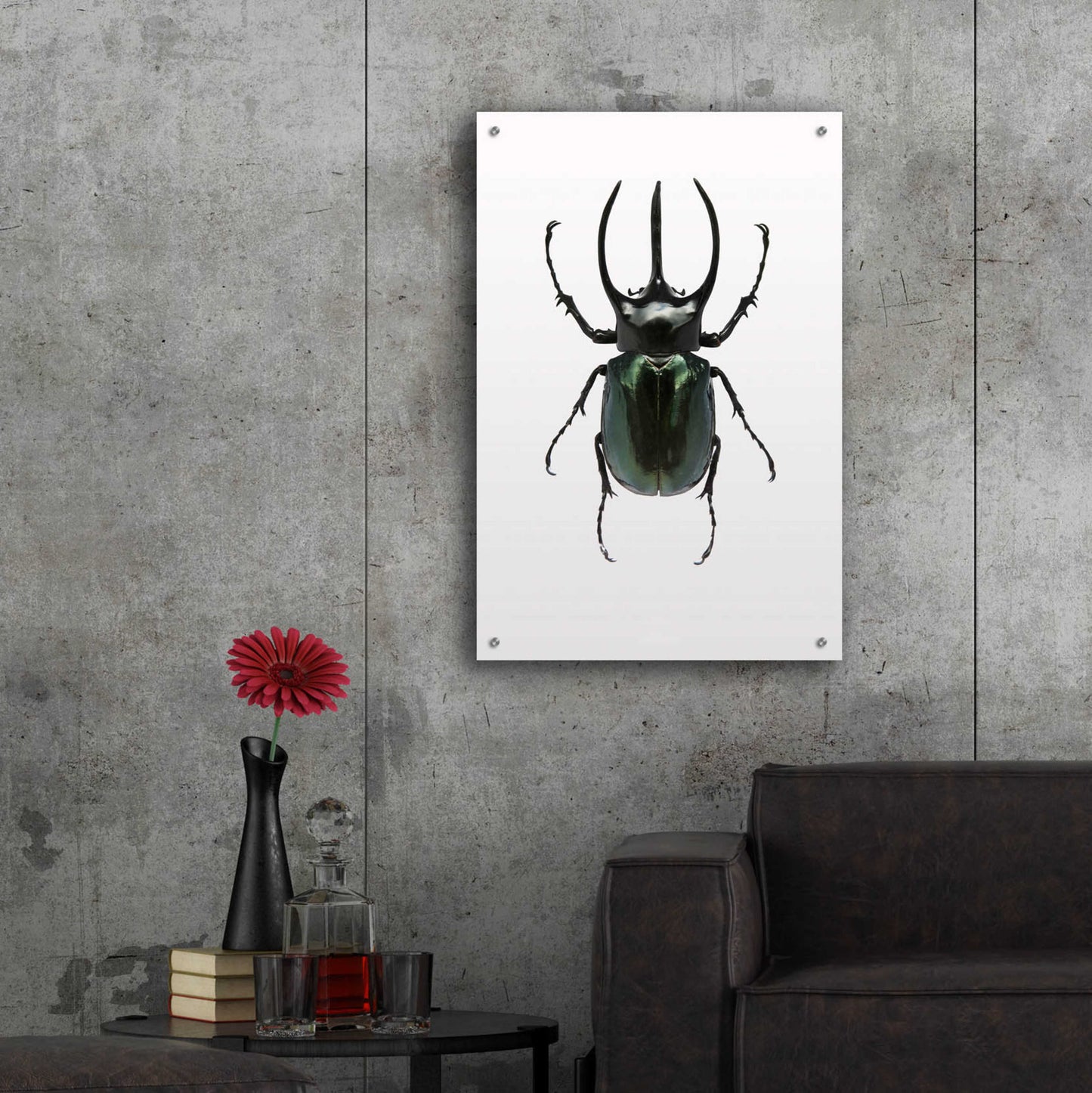 Epic Art 'Beetle 2' by Design Fabrikken, Acrylic Glass Wall Art,24x36