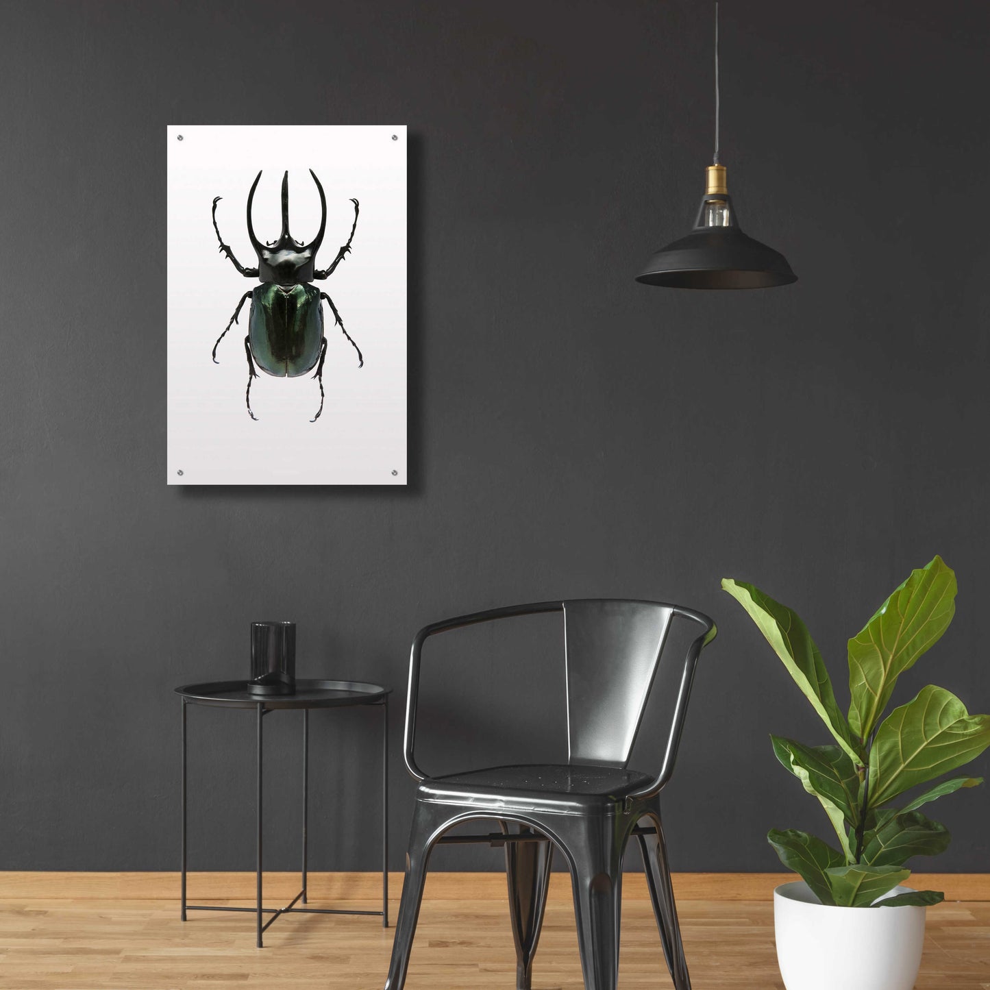 Epic Art 'Beetle 2' by Design Fabrikken, Acrylic Glass Wall Art,24x36