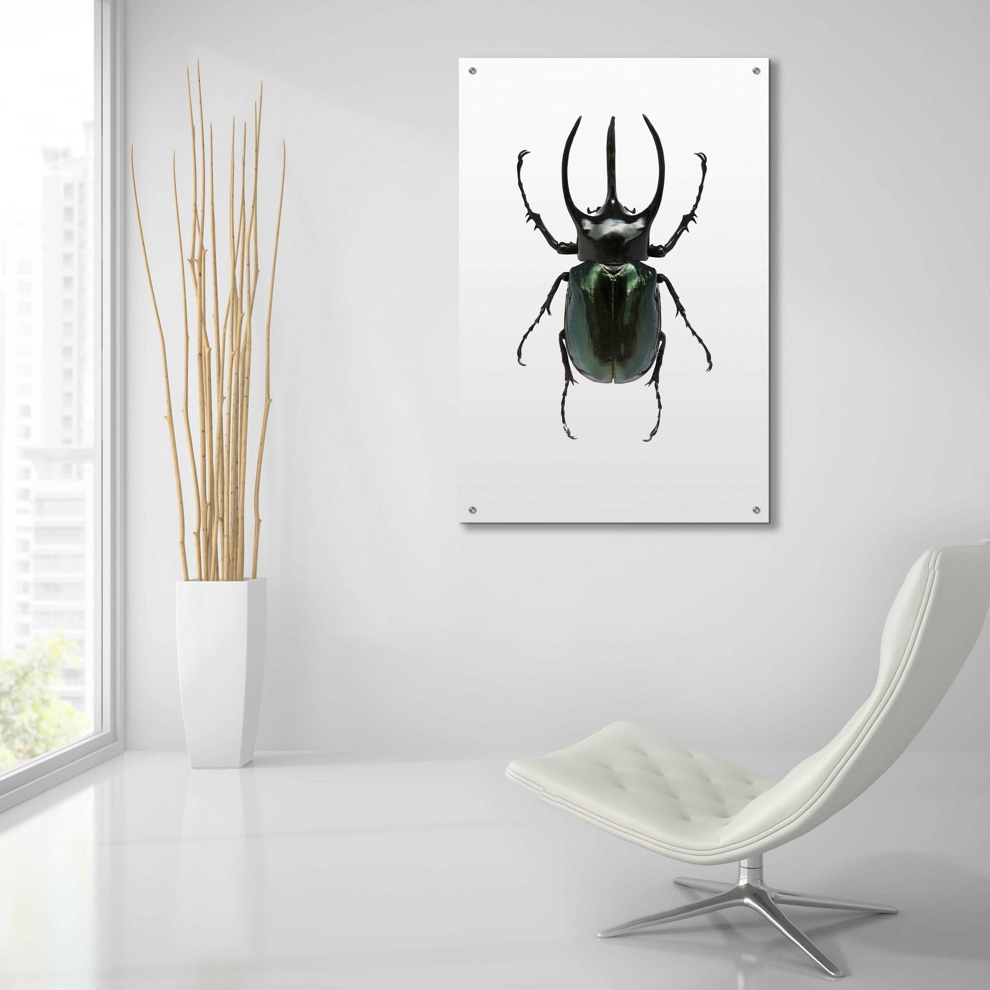 Epic Art 'Beetle 2' by Design Fabrikken, Acrylic Glass Wall Art,24x36