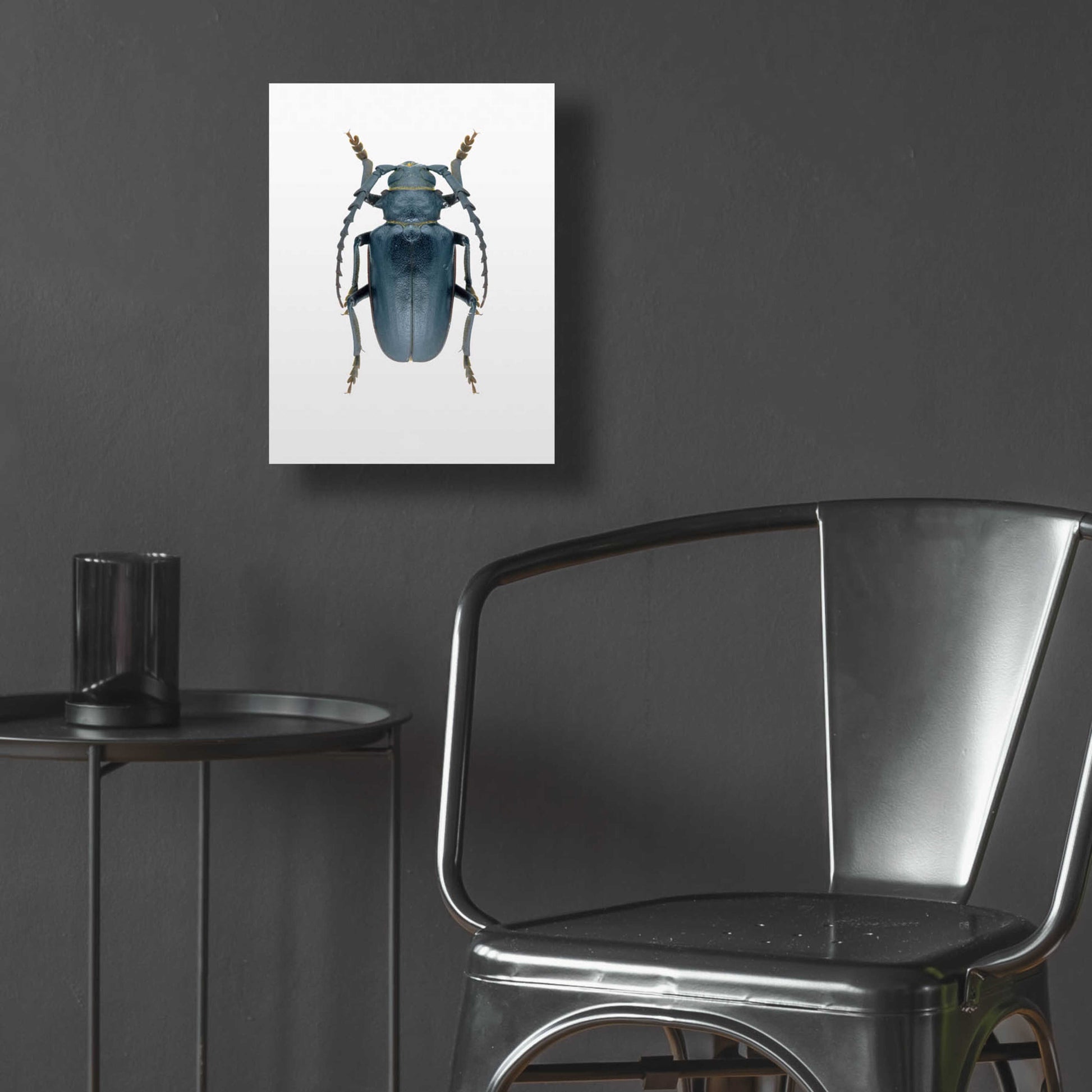 Epic Art 'Beetle 3' by Design Fabrikken, Acrylic Glass Wall Art,12x16