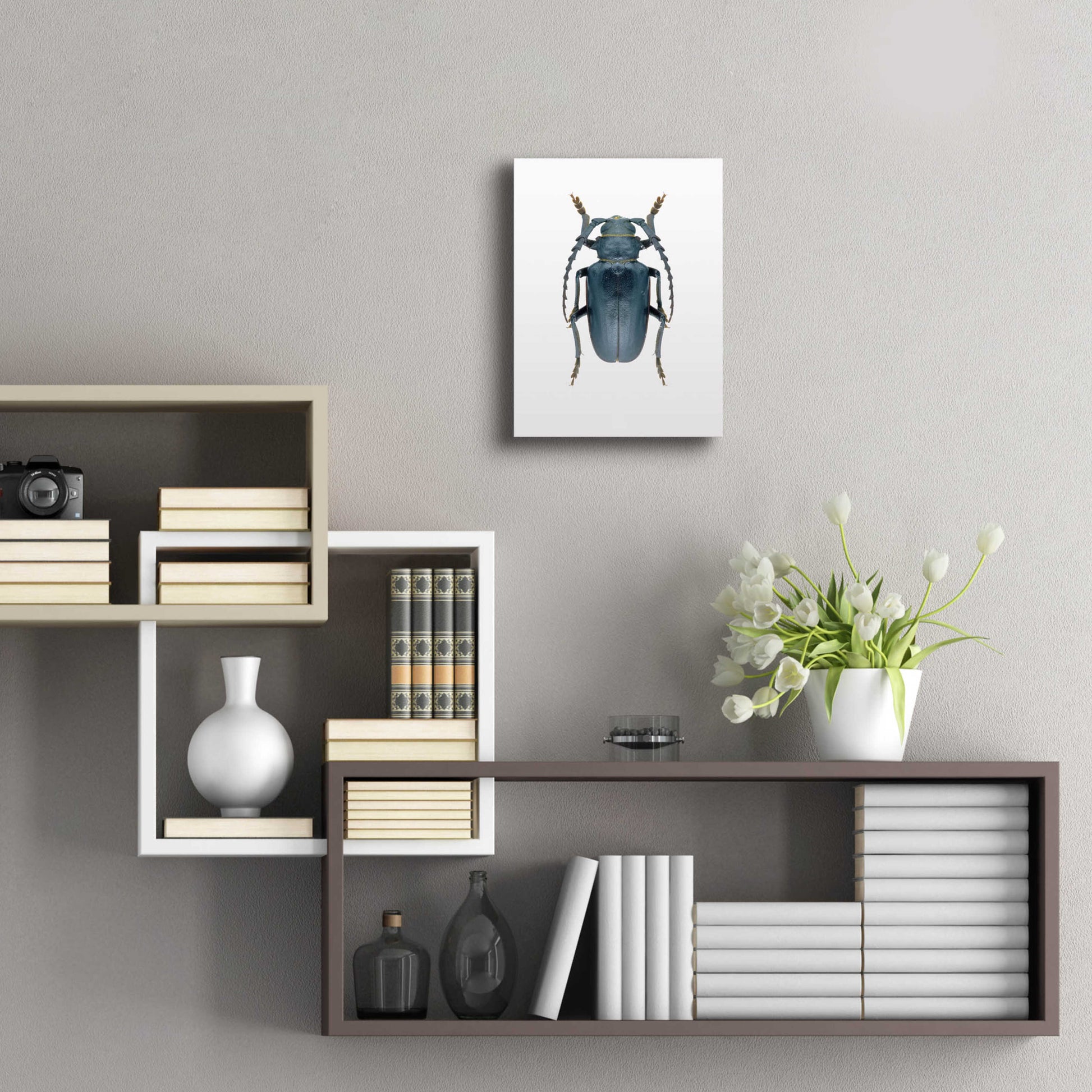 Epic Art 'Beetle 3' by Design Fabrikken, Acrylic Glass Wall Art,12x16