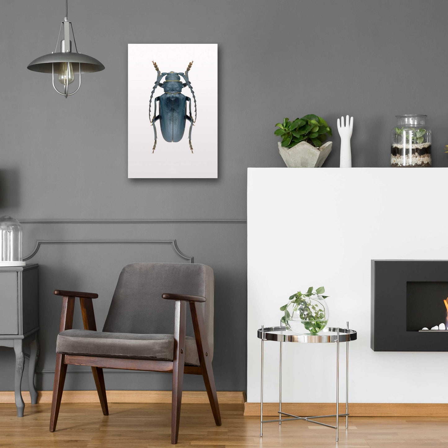 Epic Art 'Beetle 3' by Design Fabrikken, Acrylic Glass Wall Art,16x24