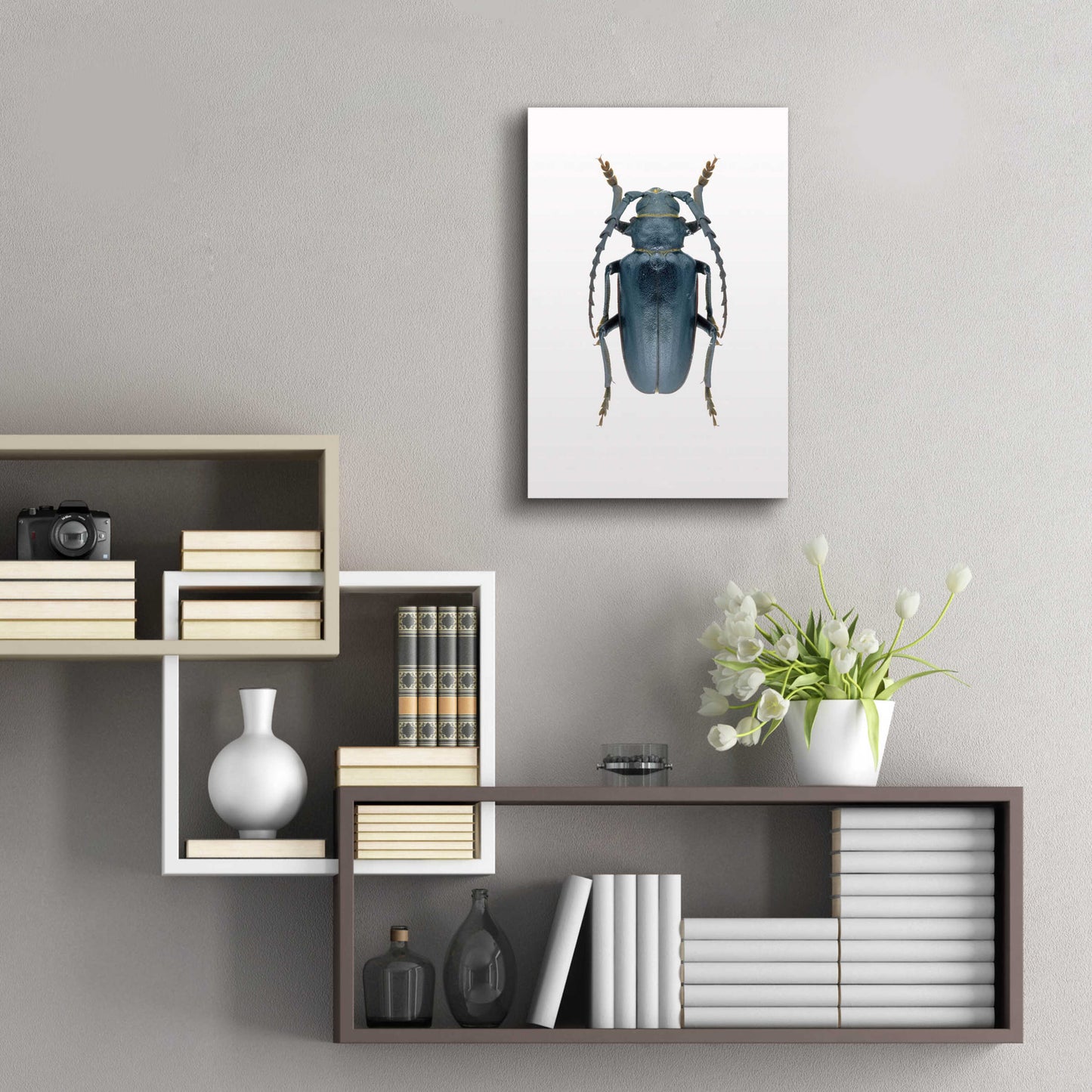 Epic Art 'Beetle 3' by Design Fabrikken, Acrylic Glass Wall Art,16x24