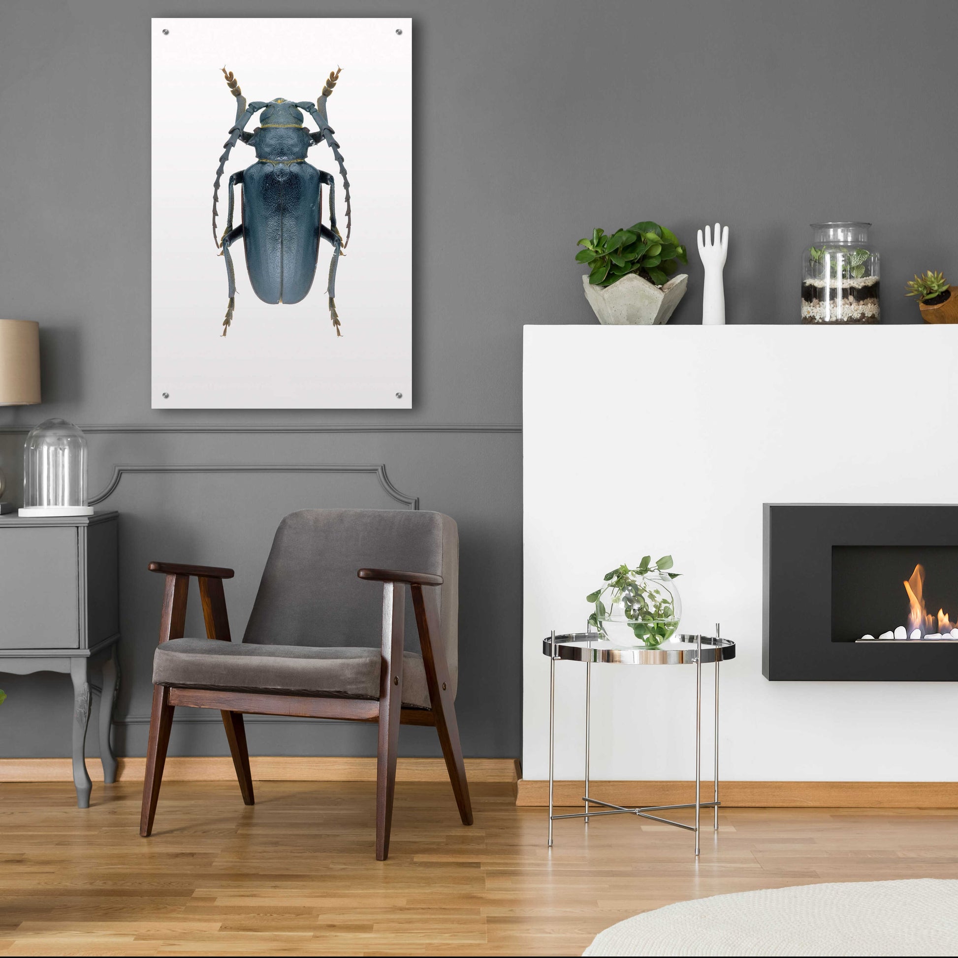 Epic Art 'Beetle 3' by Design Fabrikken, Acrylic Glass Wall Art,24x36