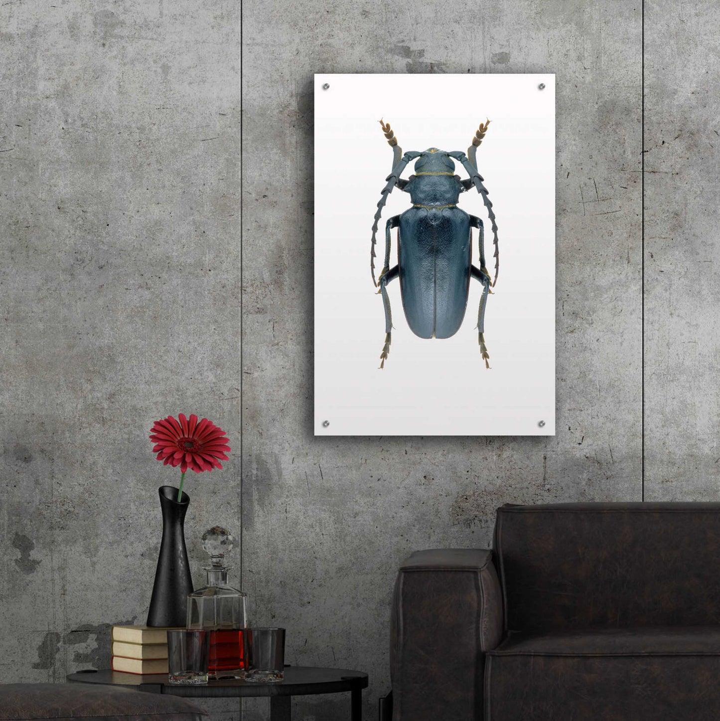 Epic Art 'Beetle 3' by Design Fabrikken, Acrylic Glass Wall Art,24x36