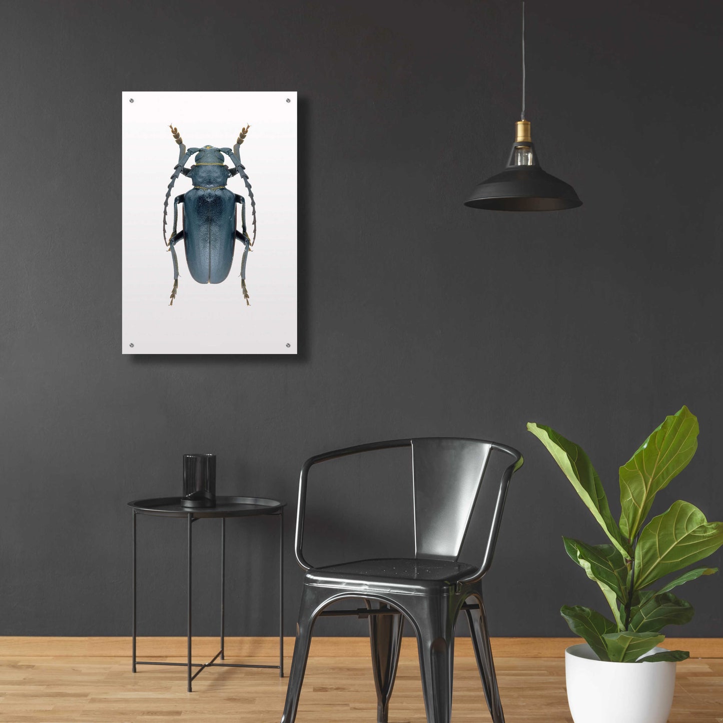 Epic Art 'Beetle 3' by Design Fabrikken, Acrylic Glass Wall Art,24x36