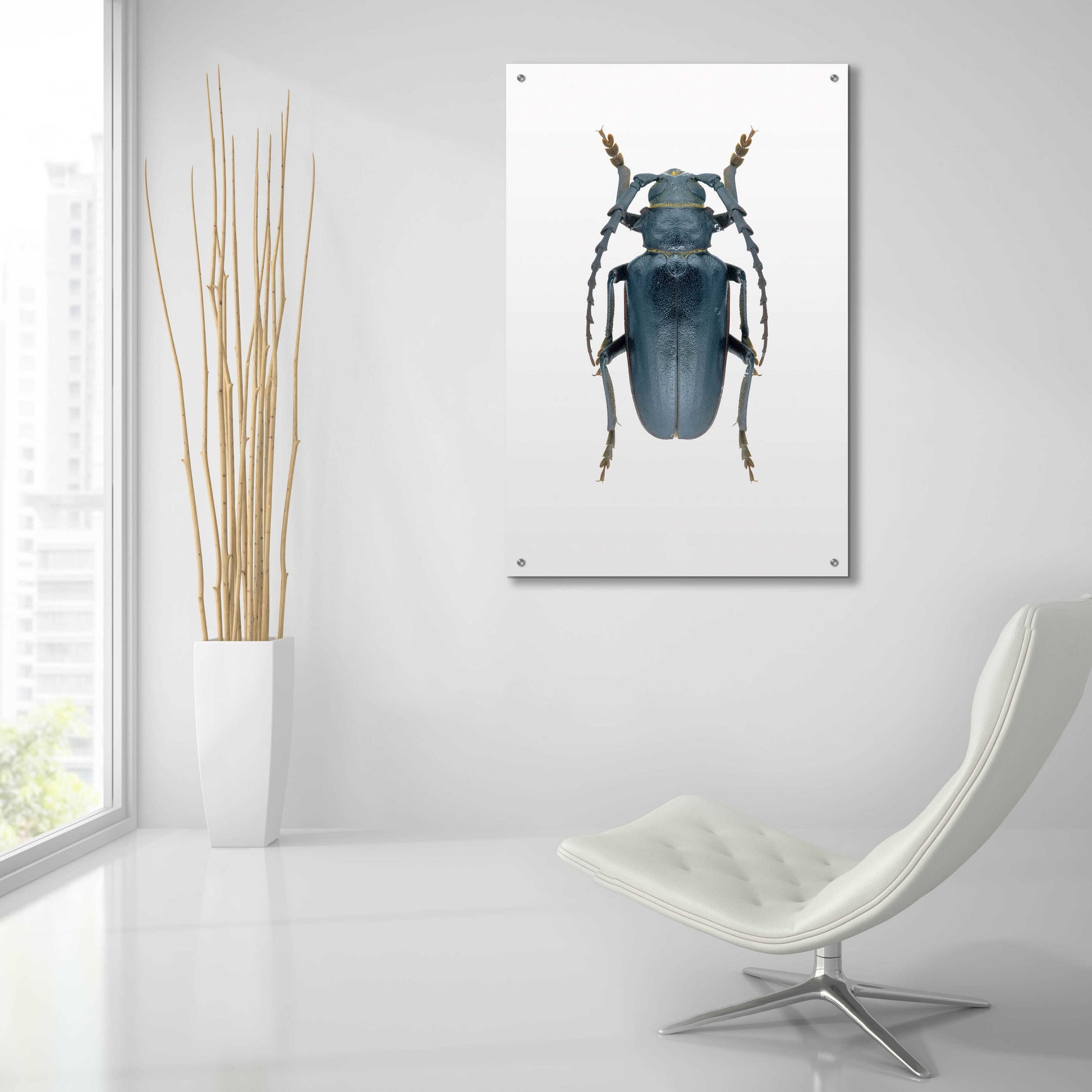 Epic Art 'Beetle 3' by Design Fabrikken, Acrylic Glass Wall Art,24x36