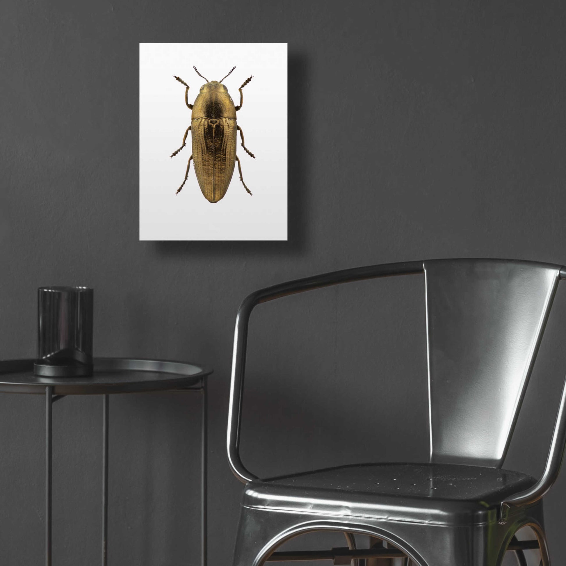 Epic Art 'Beetle 4' by Design Fabrikken, Acrylic Glass Wall Art,12x16