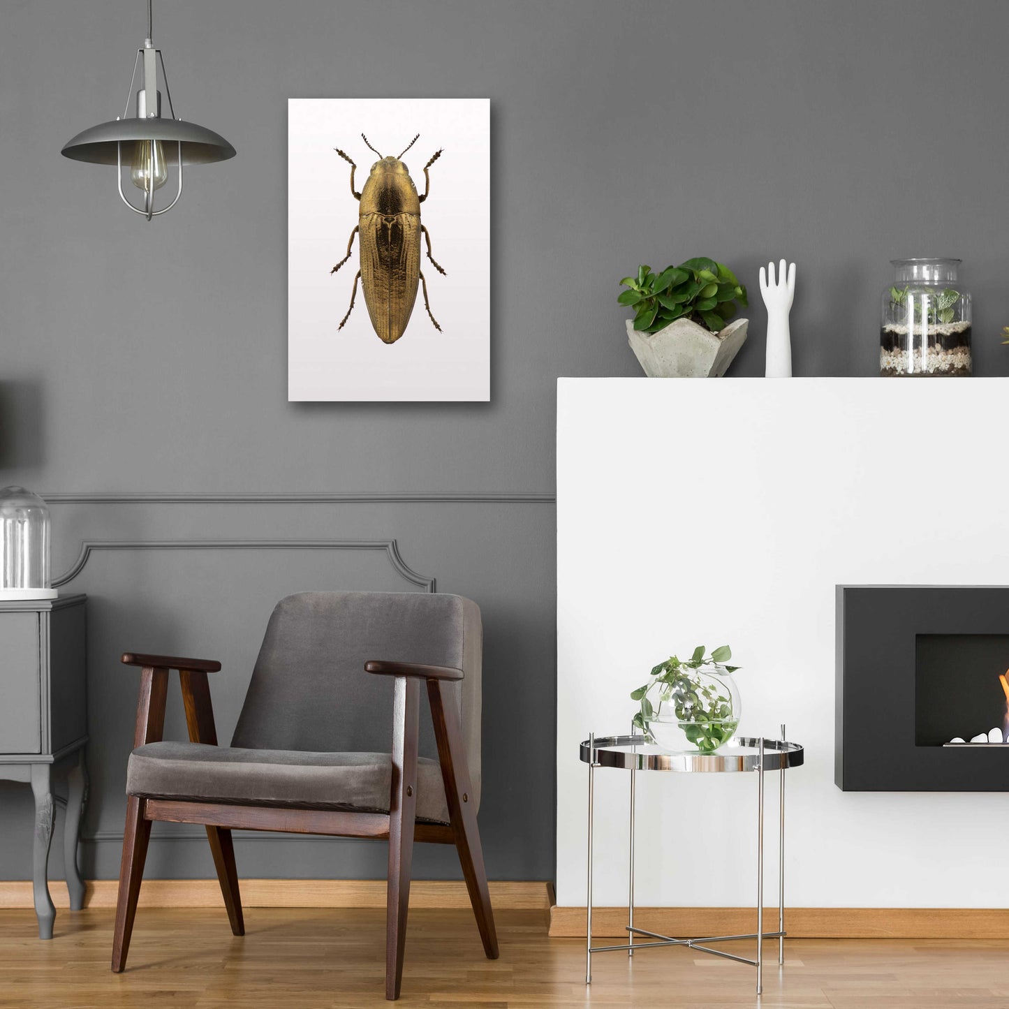 Epic Art 'Beetle 4' by Design Fabrikken, Acrylic Glass Wall Art,16x24