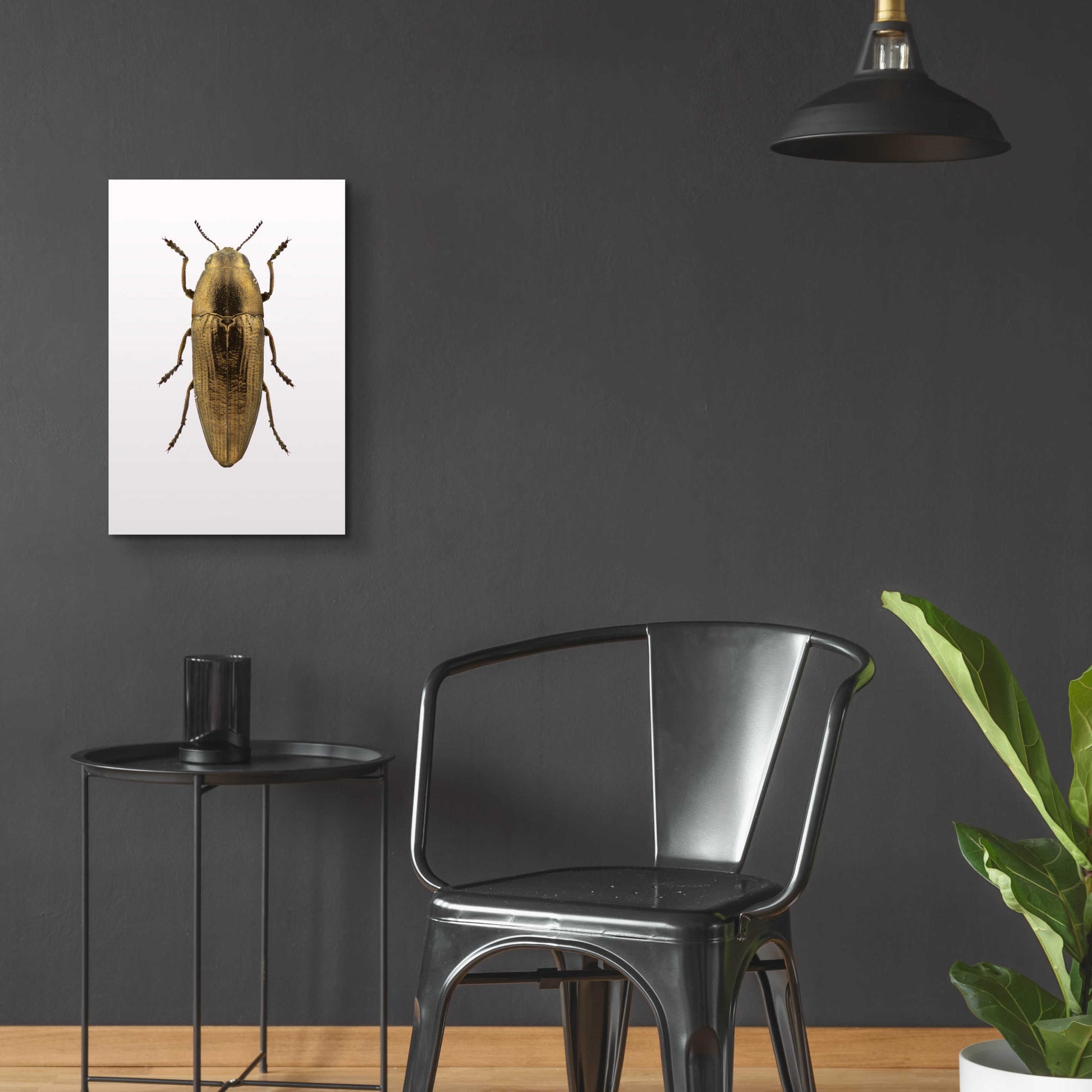 Epic Art 'Beetle 4' by Design Fabrikken, Acrylic Glass Wall Art,16x24