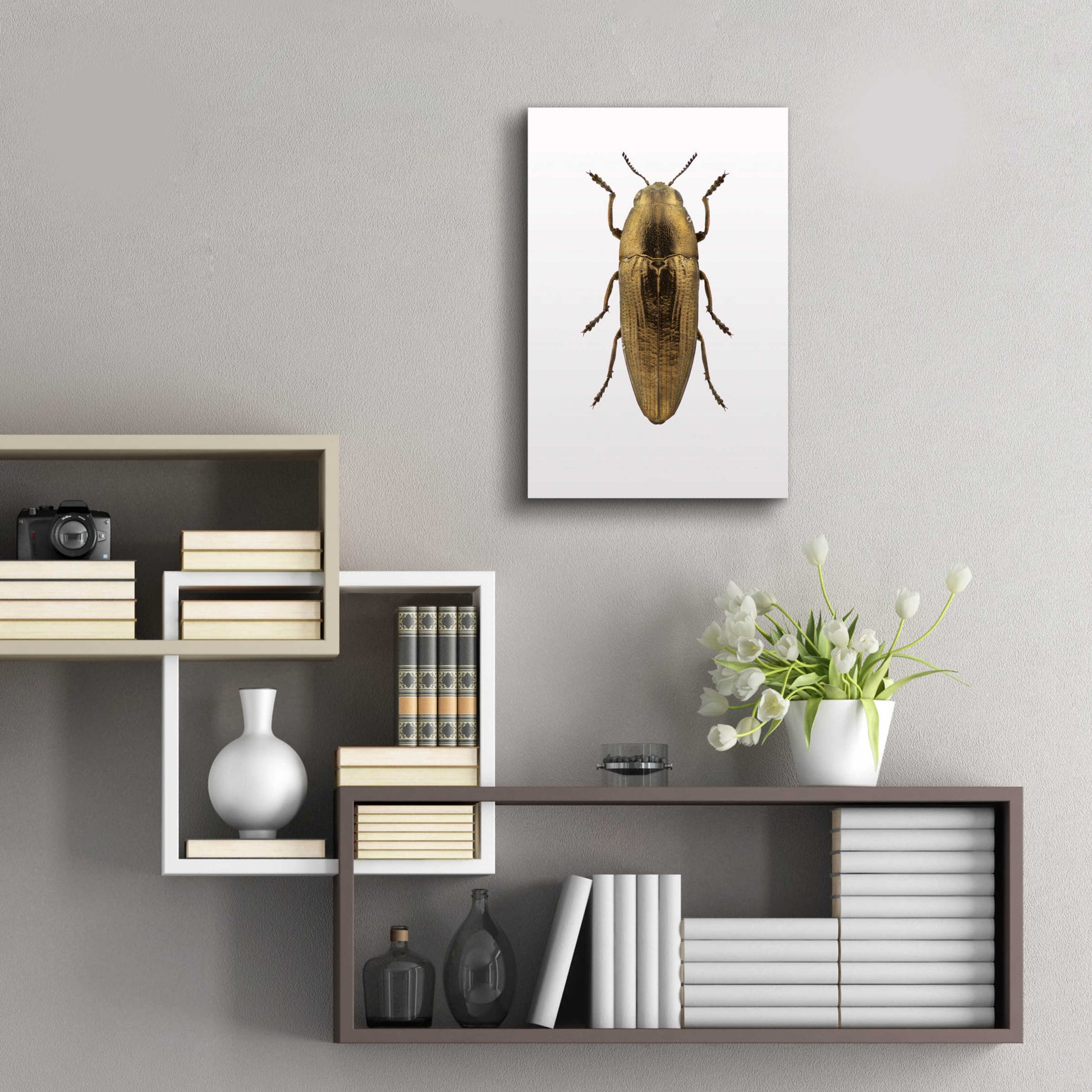 Epic Art 'Beetle 4' by Design Fabrikken, Acrylic Glass Wall Art,16x24