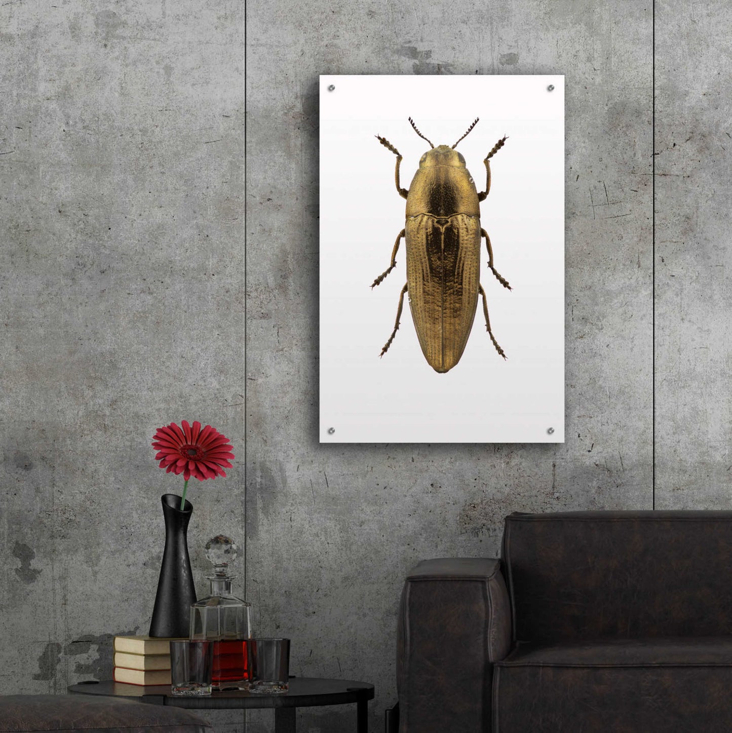 Epic Art 'Beetle 4' by Design Fabrikken, Acrylic Glass Wall Art,24x36