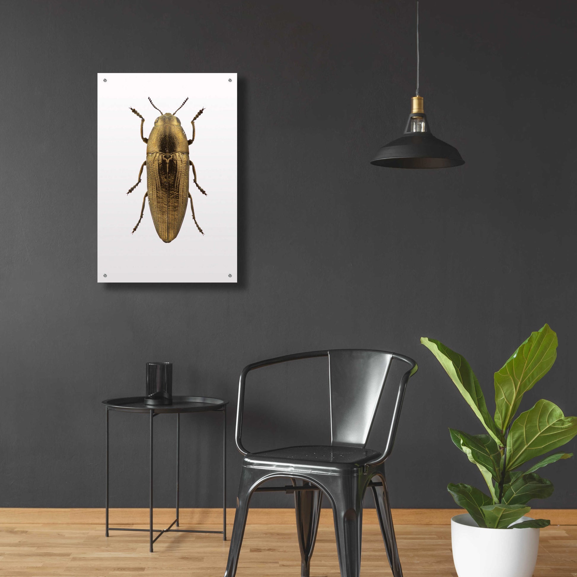 Epic Art 'Beetle 4' by Design Fabrikken, Acrylic Glass Wall Art,24x36