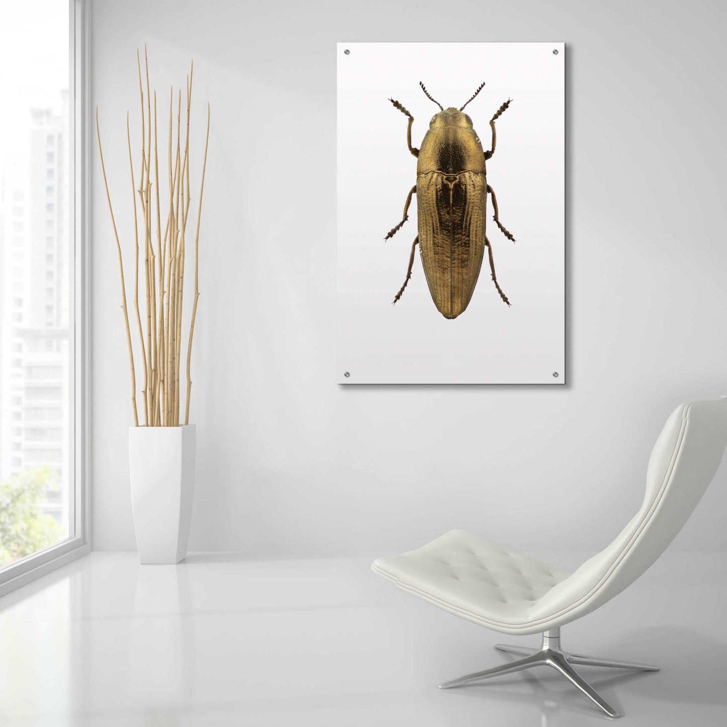 Epic Art 'Beetle 4' by Design Fabrikken, Acrylic Glass Wall Art,24x36