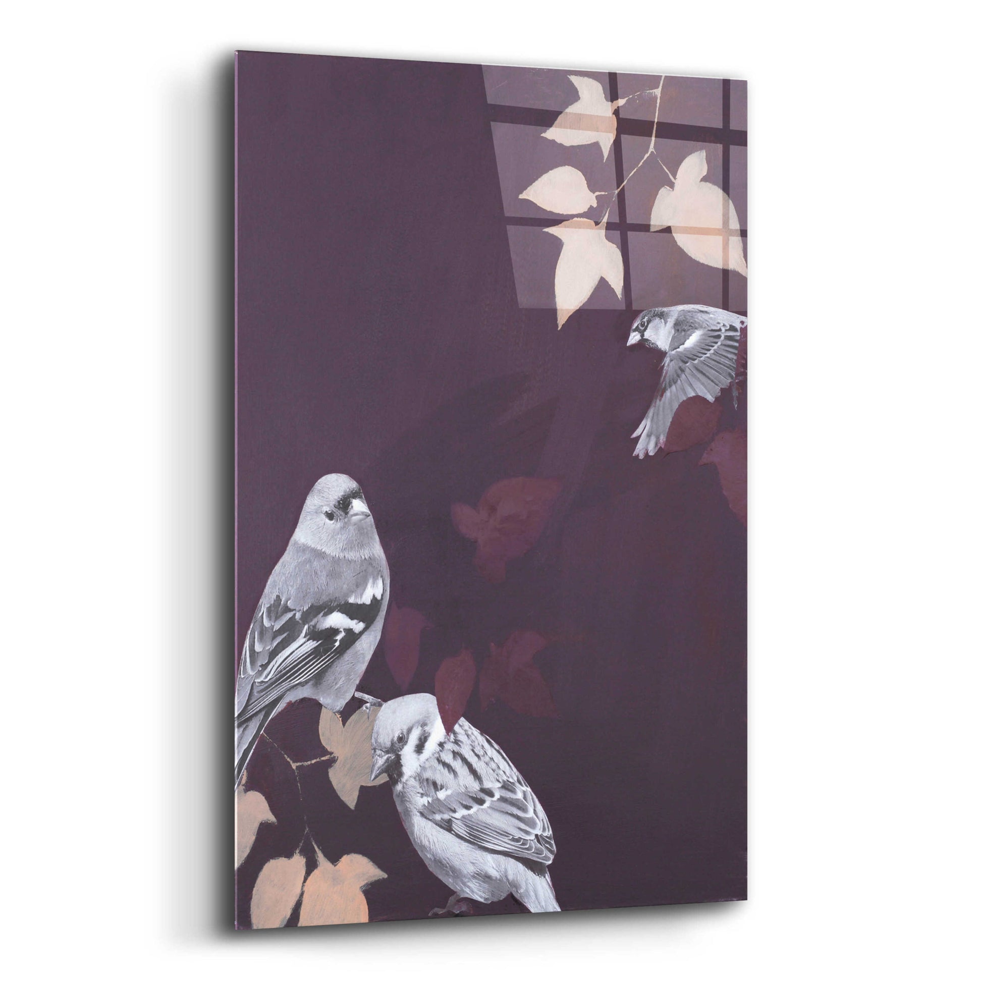 Epic Art 'Bird 1' by Design Fabrikken, Acrylic Glass Wall Art,12x16