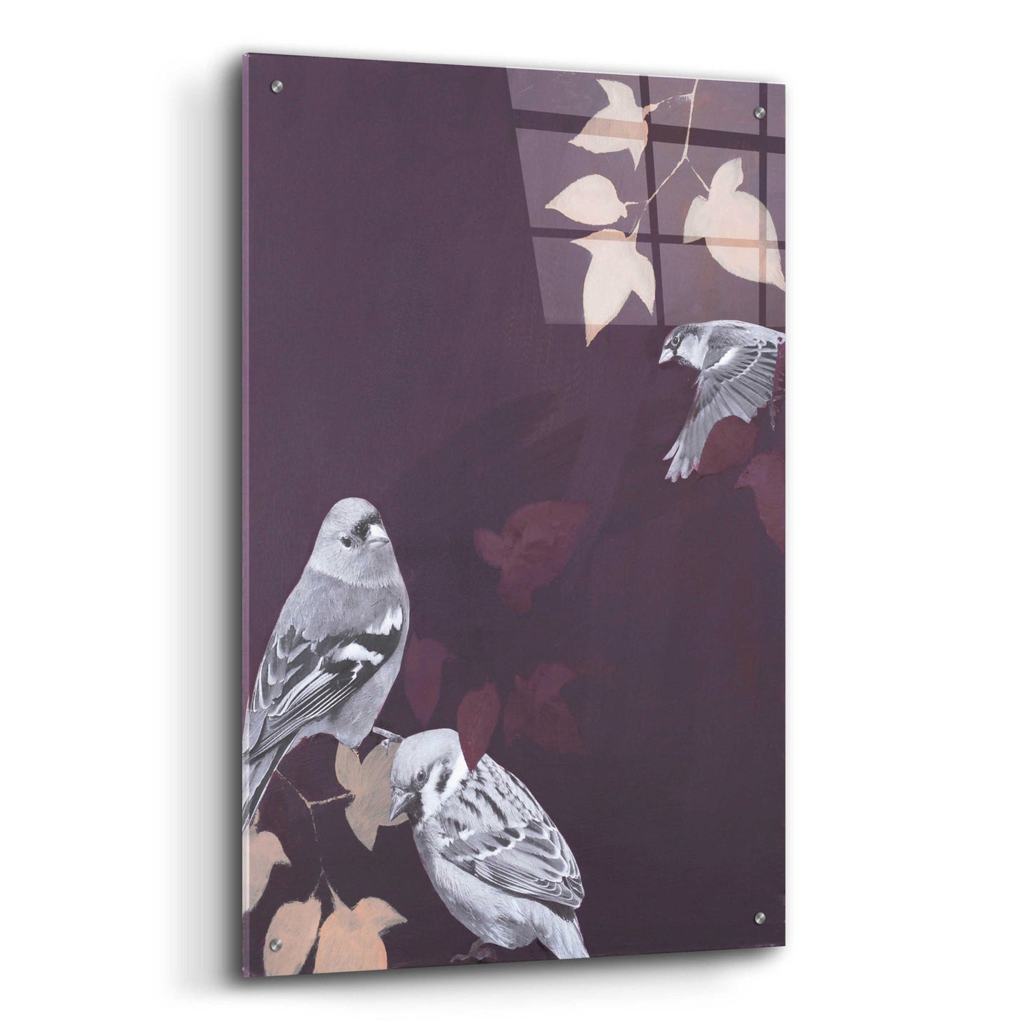 Epic Art 'Bird 1' by Design Fabrikken, Acrylic Glass Wall Art,24x36