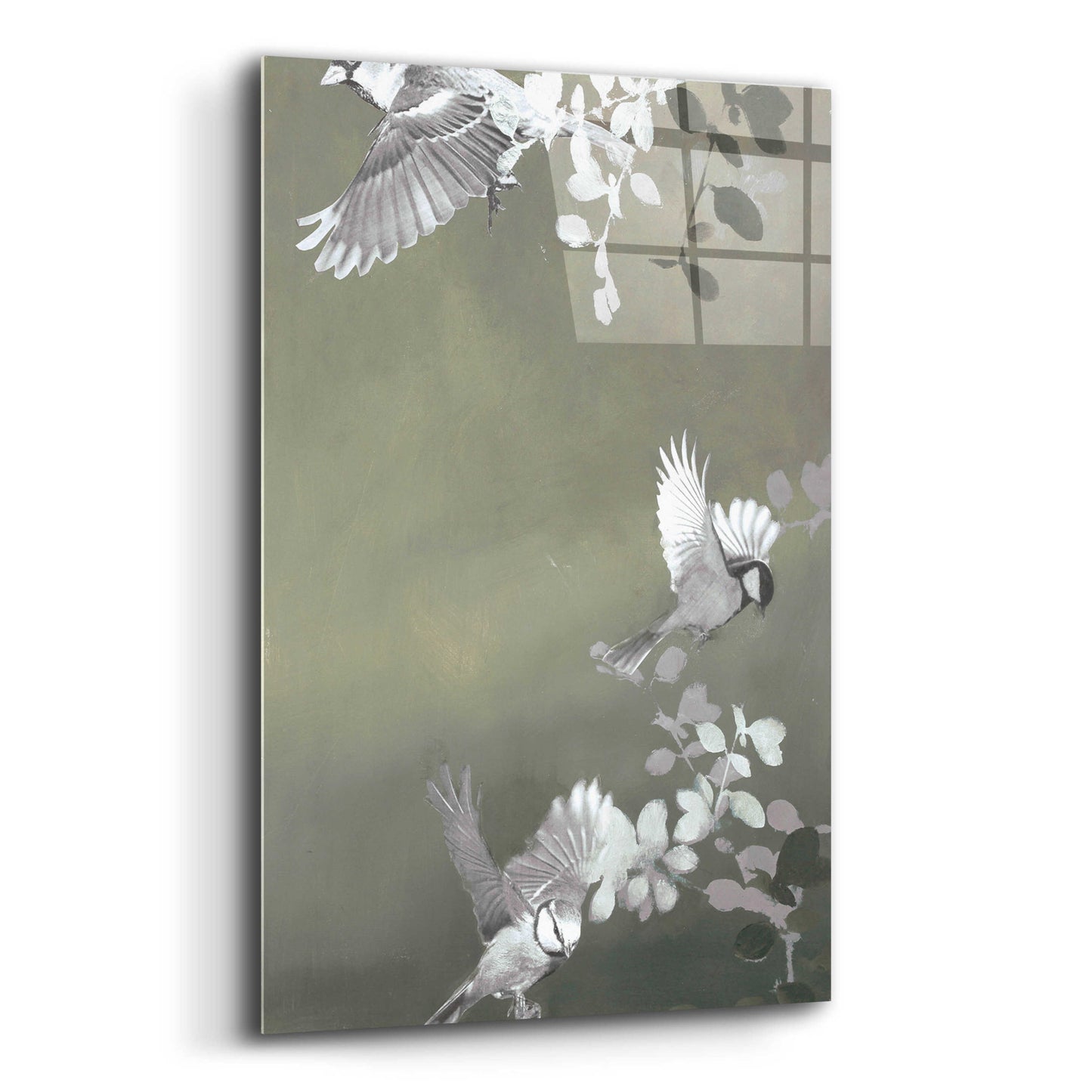 Epic Art 'Bird 4' by Design Fabrikken, Acrylic Glass Wall Art,12x16