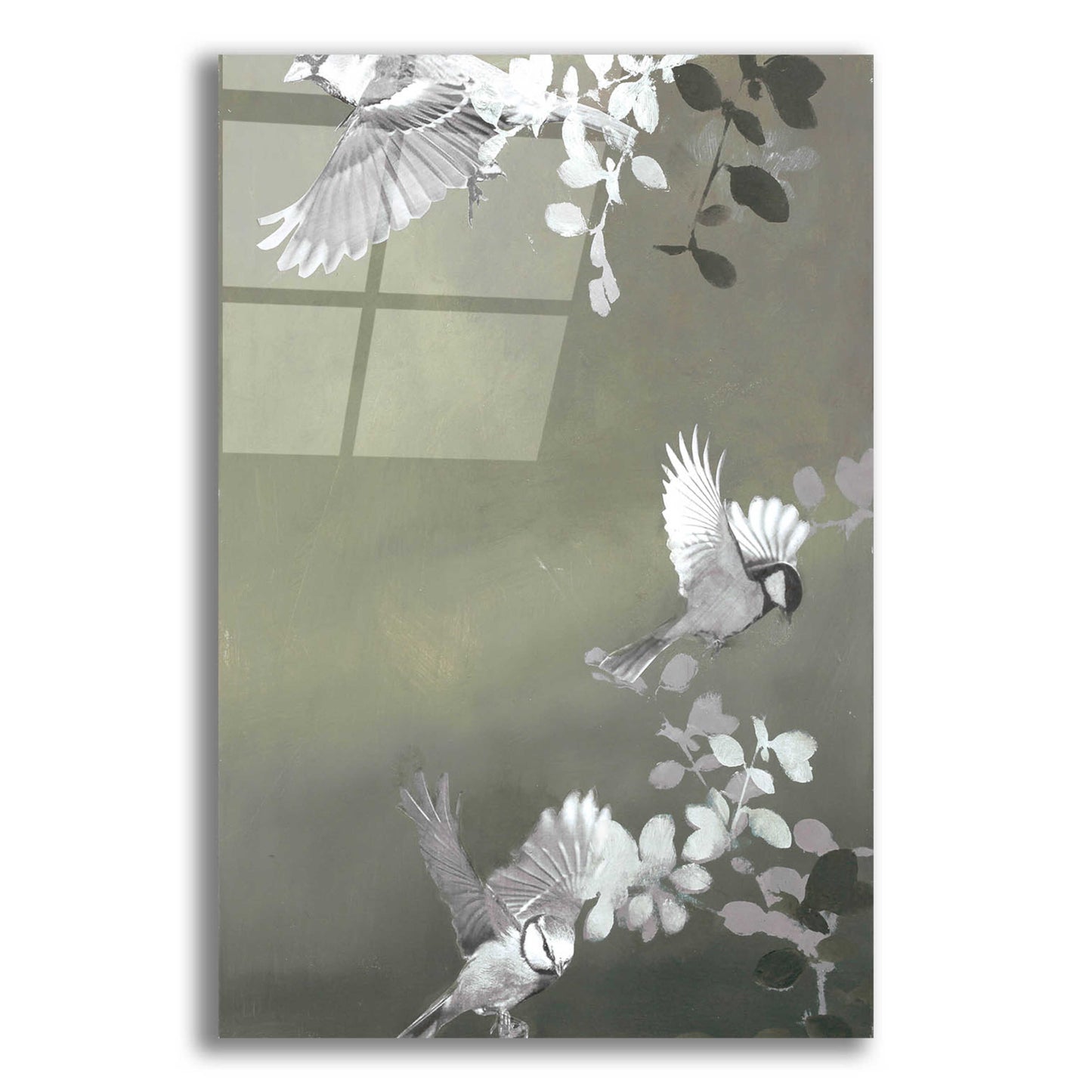 Epic Art 'Bird 4' by Design Fabrikken, Acrylic Glass Wall Art,12x16