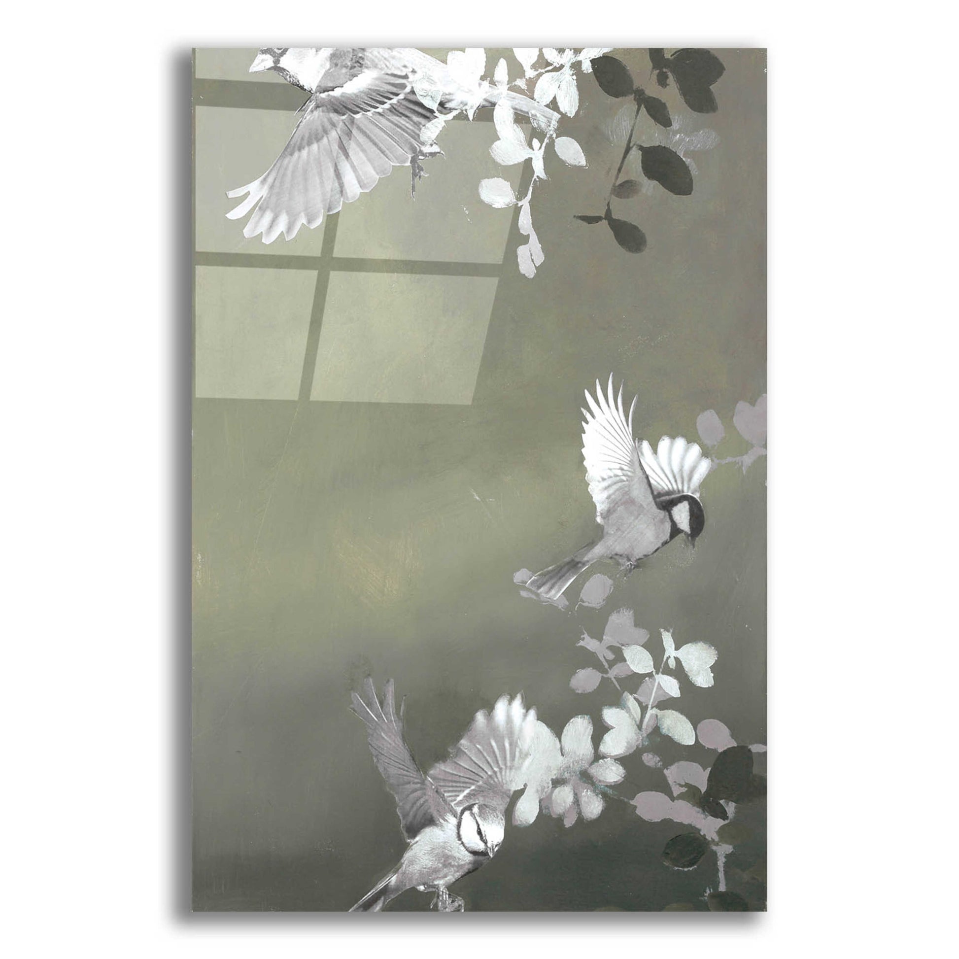 Epic Art 'Bird 4' by Design Fabrikken, Acrylic Glass Wall Art,12x16