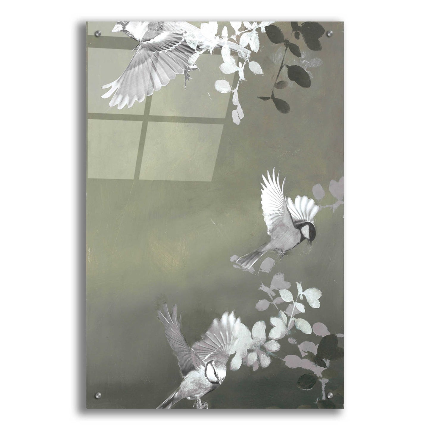 Epic Art 'Bird 4' by Design Fabrikken, Acrylic Glass Wall Art,24x36