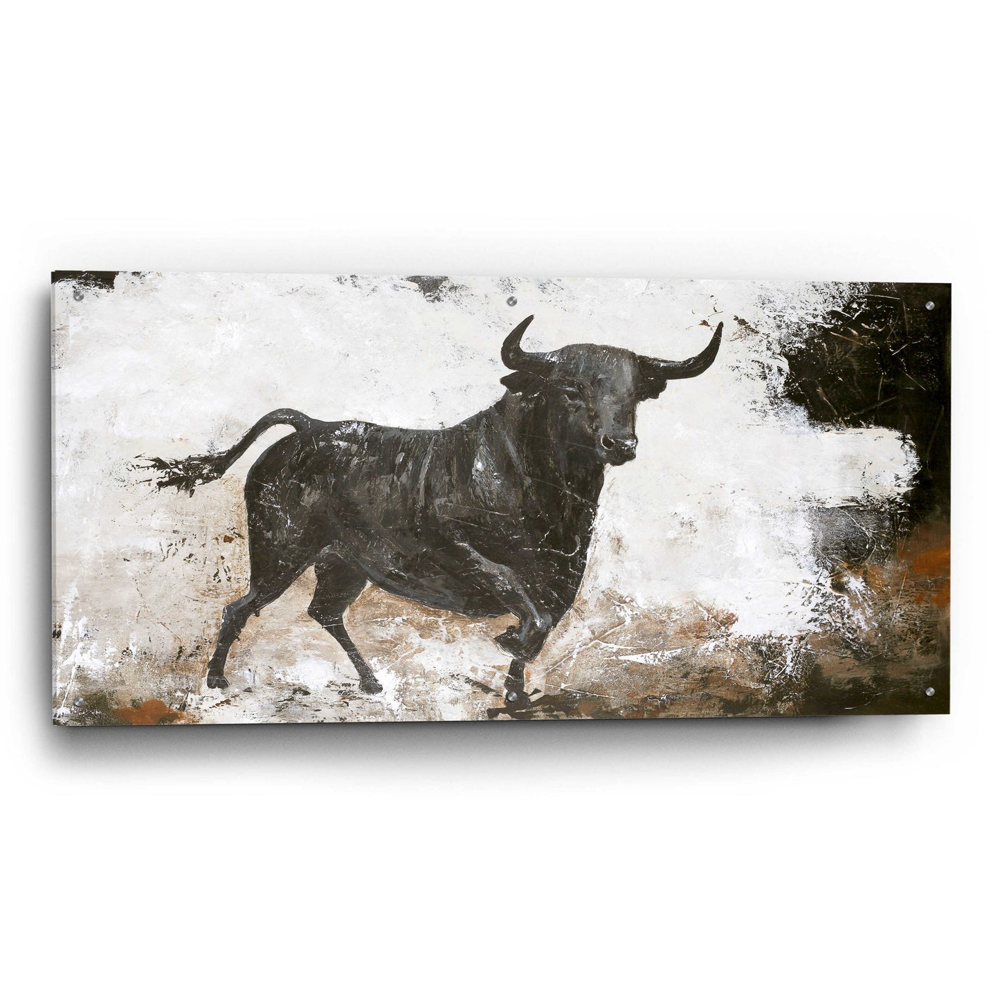 Epic Art 'Black Bull' by Design Fabrikken, Acrylic Glass Wall Art,48x24