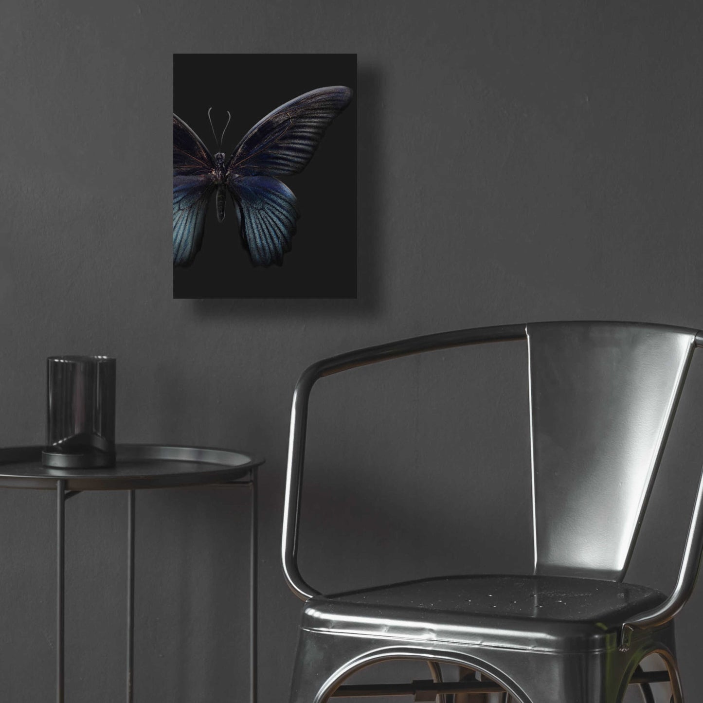 Epic Art 'Black Butterfly on Grey' by Design Fabrikken, Acrylic Glass Wall Art,12x16