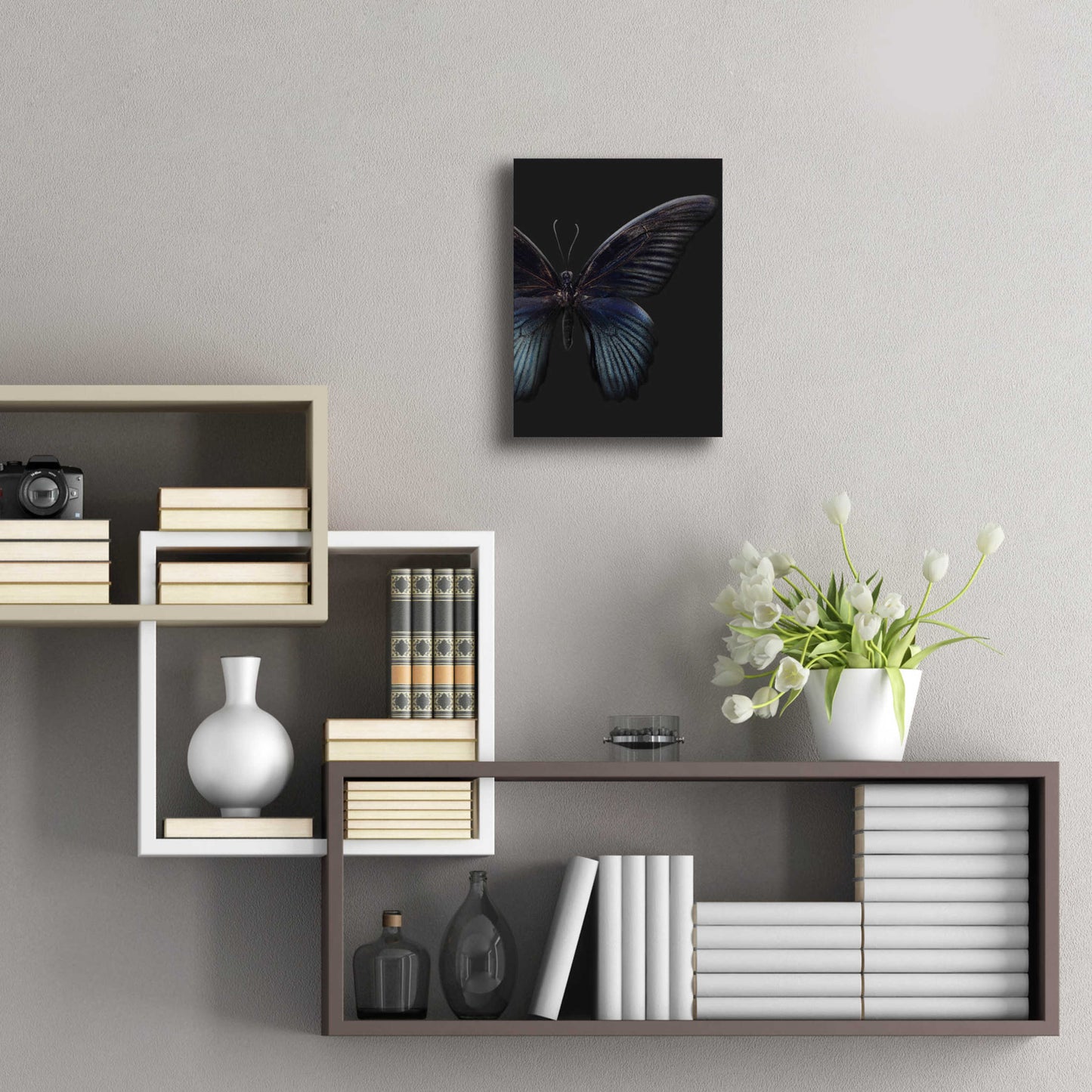 Epic Art 'Black Butterfly on Grey' by Design Fabrikken, Acrylic Glass Wall Art,12x16