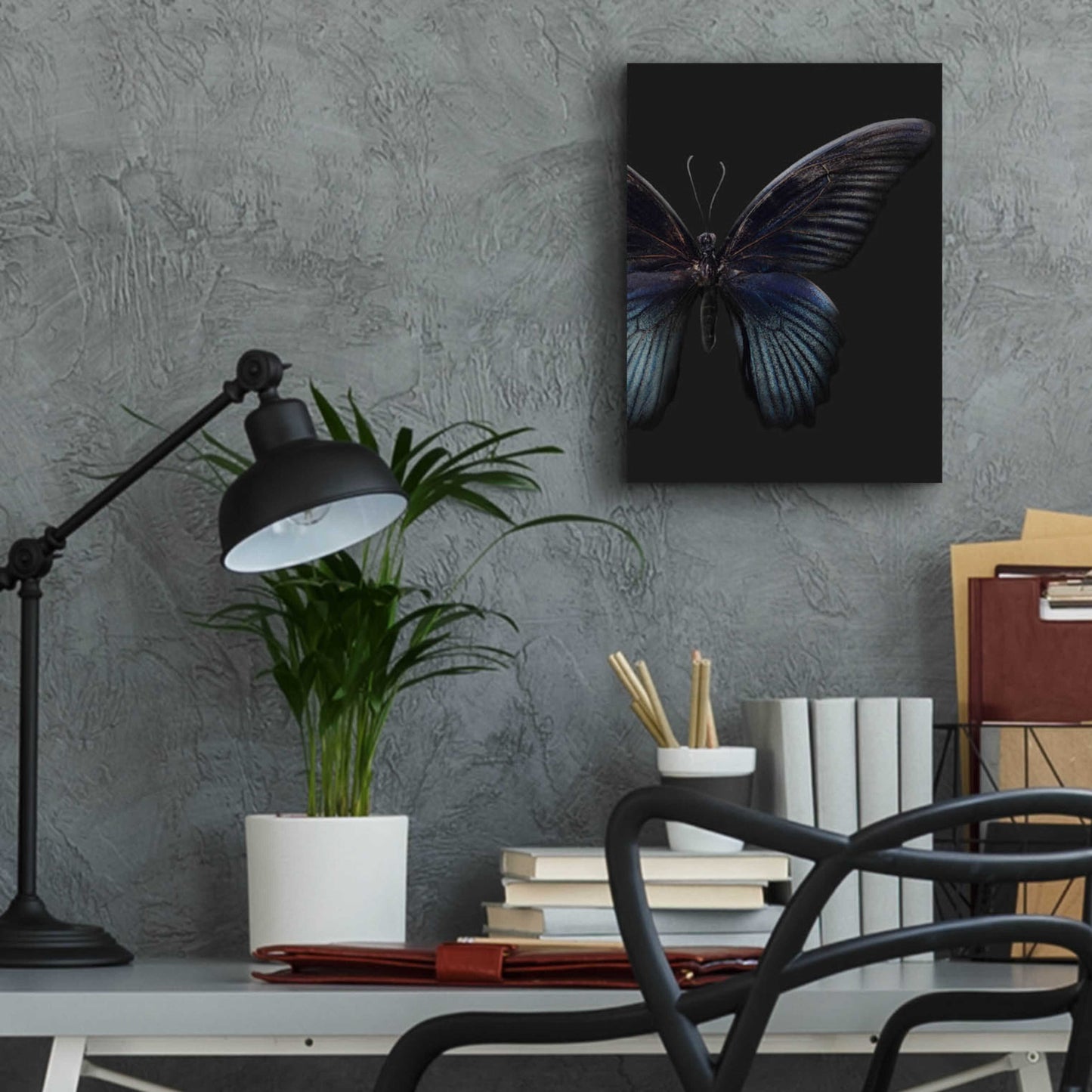 Epic Art 'Black Butterfly on Grey' by Design Fabrikken, Acrylic Glass Wall Art,12x16